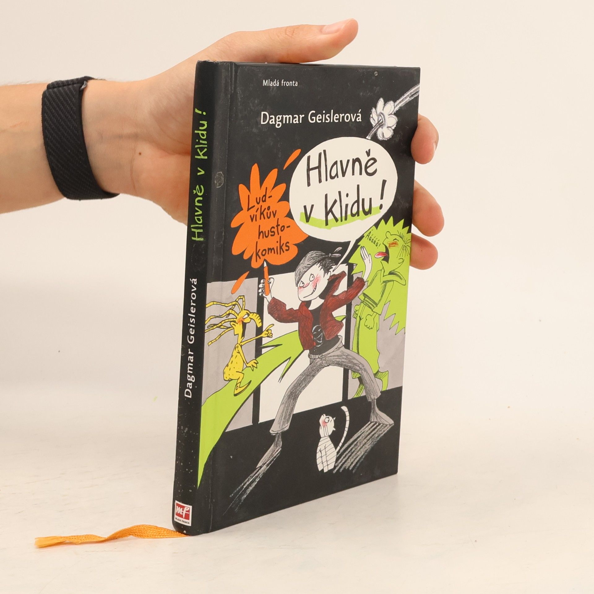 Dagmar Geisler Hlavně v klidu! : Ludvíkův hustokomiks