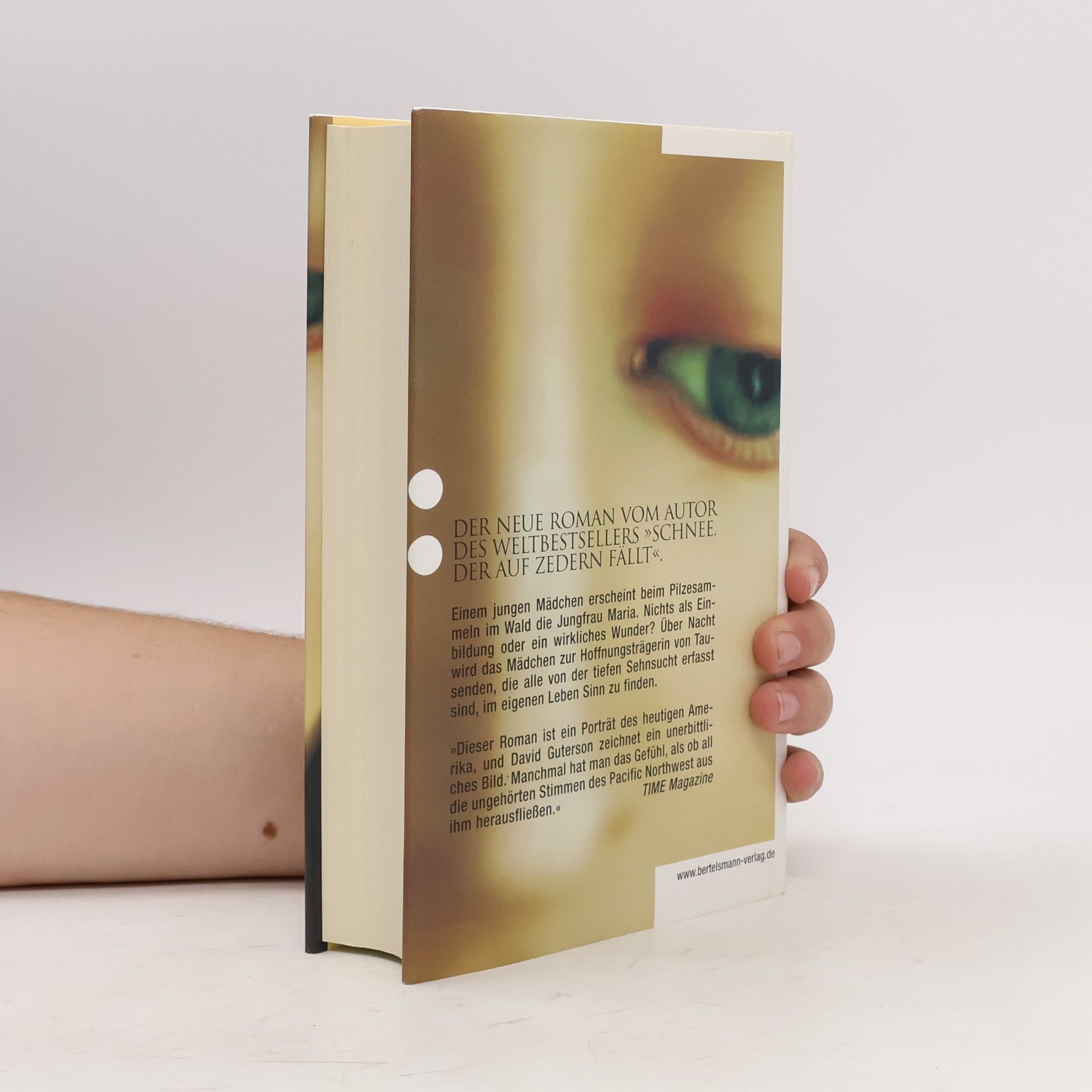 David Guterson Unsere Liebe Frau vom Wald