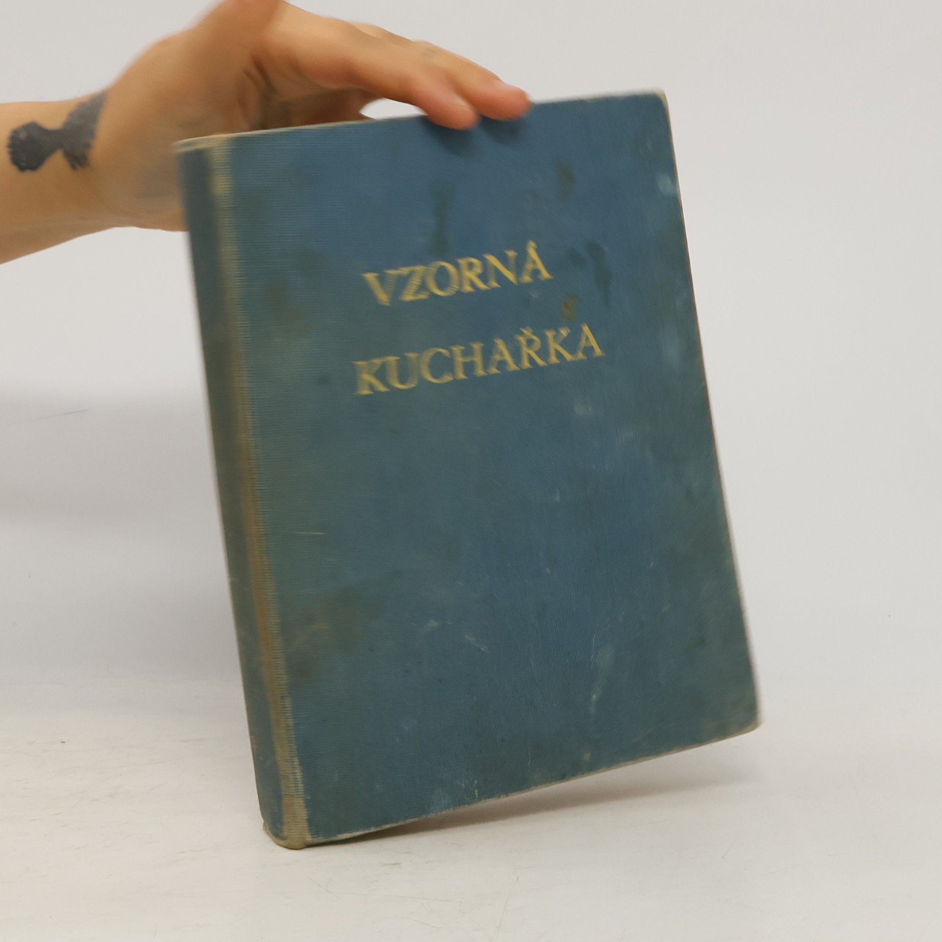 Vzorná kuchařka