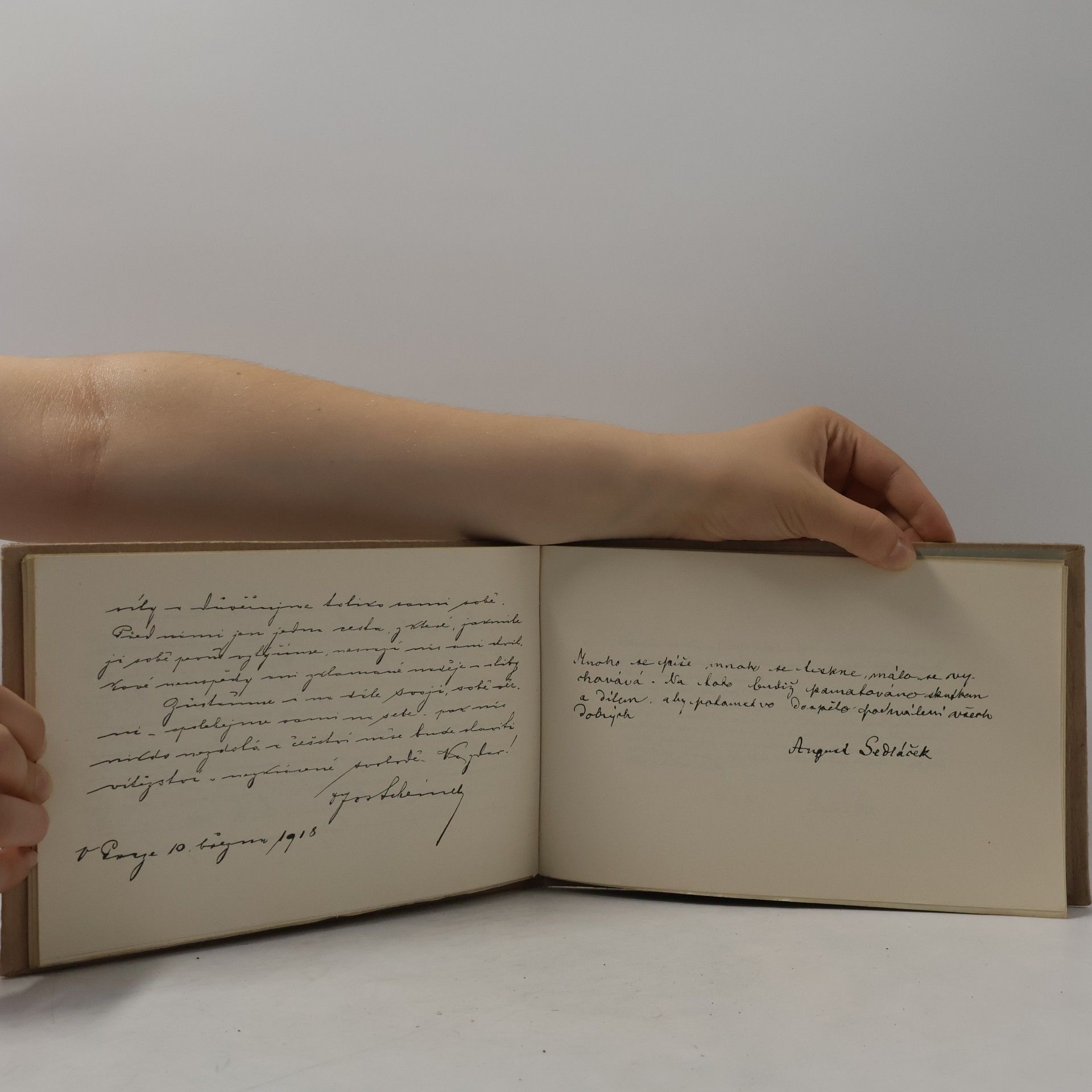 Autorenkollektiv Český památník z velikého roku 1918