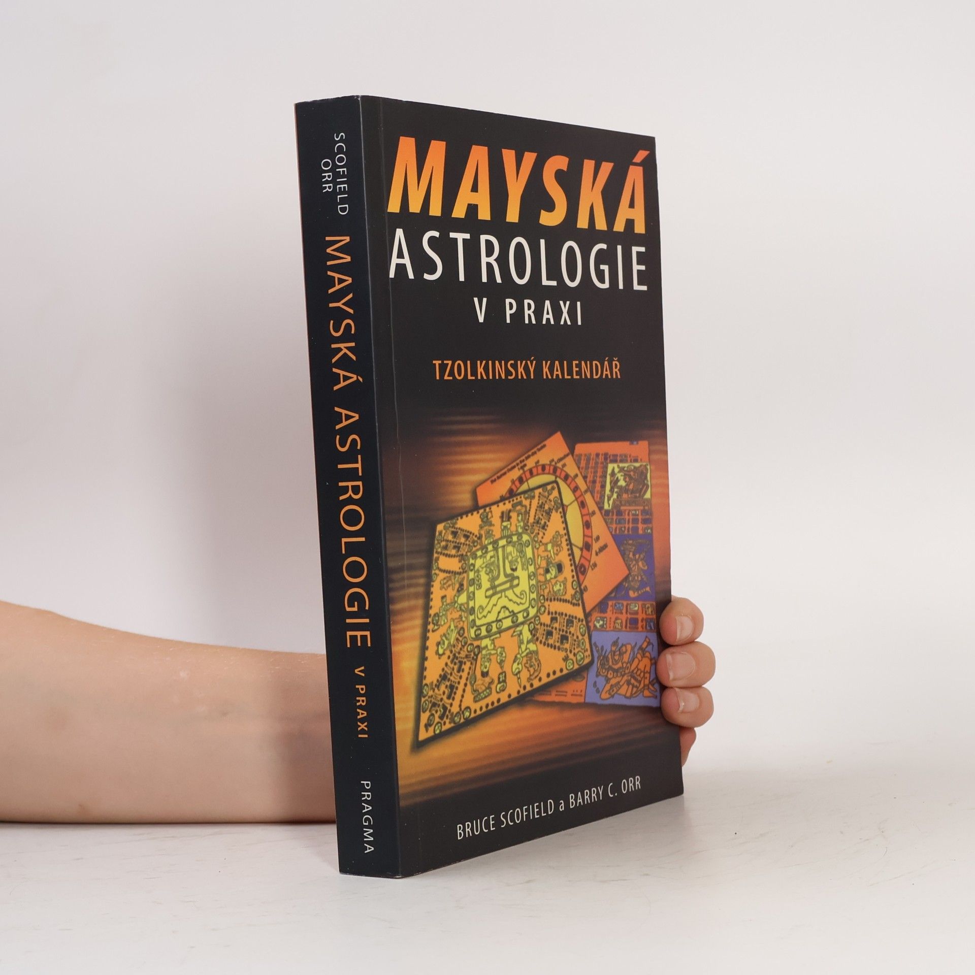 Mayská astrologie v praxi