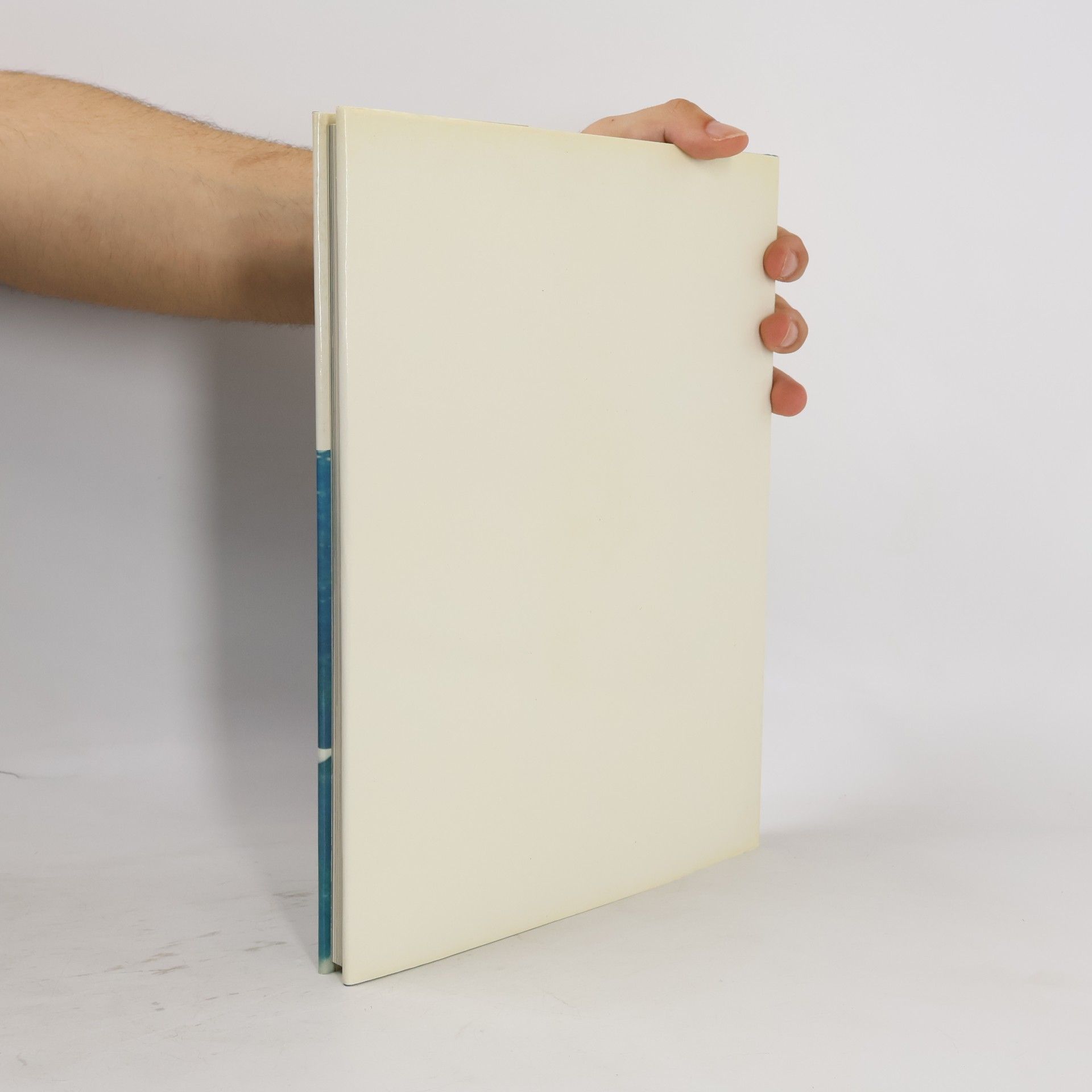 Autores varios Strategie in de Lucht