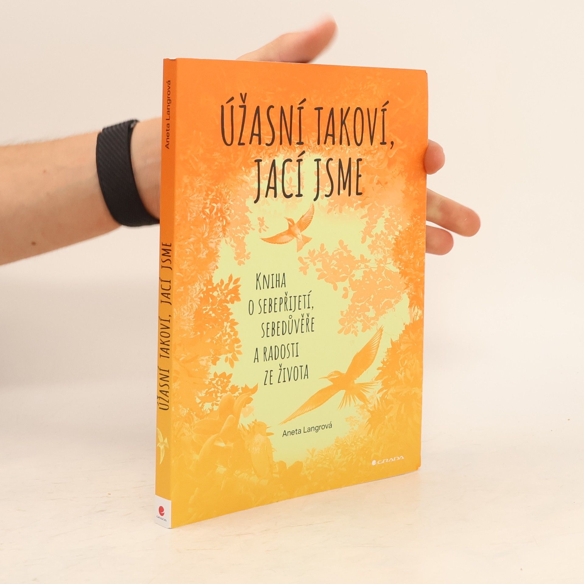 Aneta Langrová Úžasní takoví, jací jsme. Kniha o sebepřijetí, sebedůvěře a radosti ze života