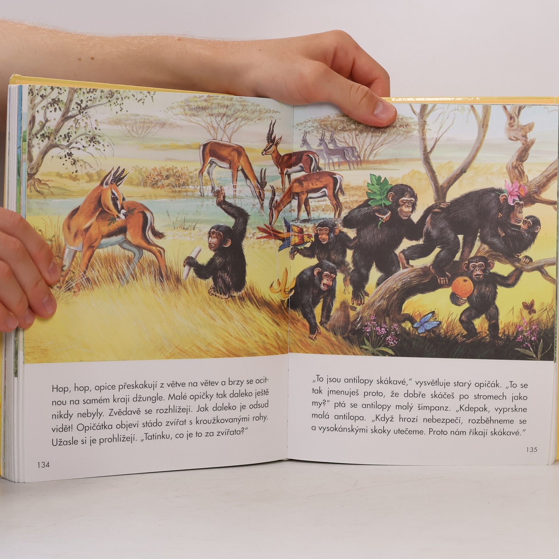 Autores varios Zvířátka a jejich dobrodružství