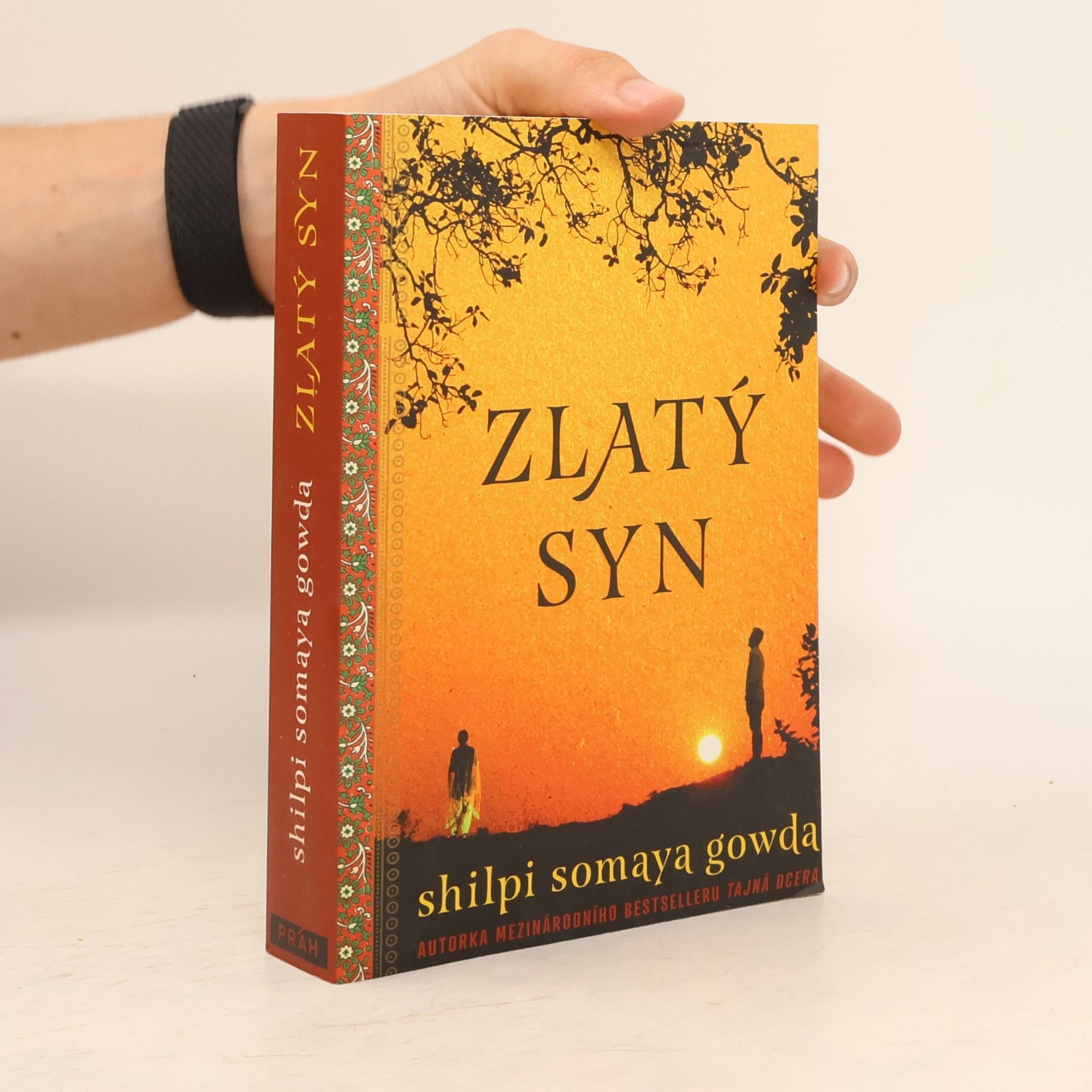 Shilpi Somaya Gowda Zlatý syn