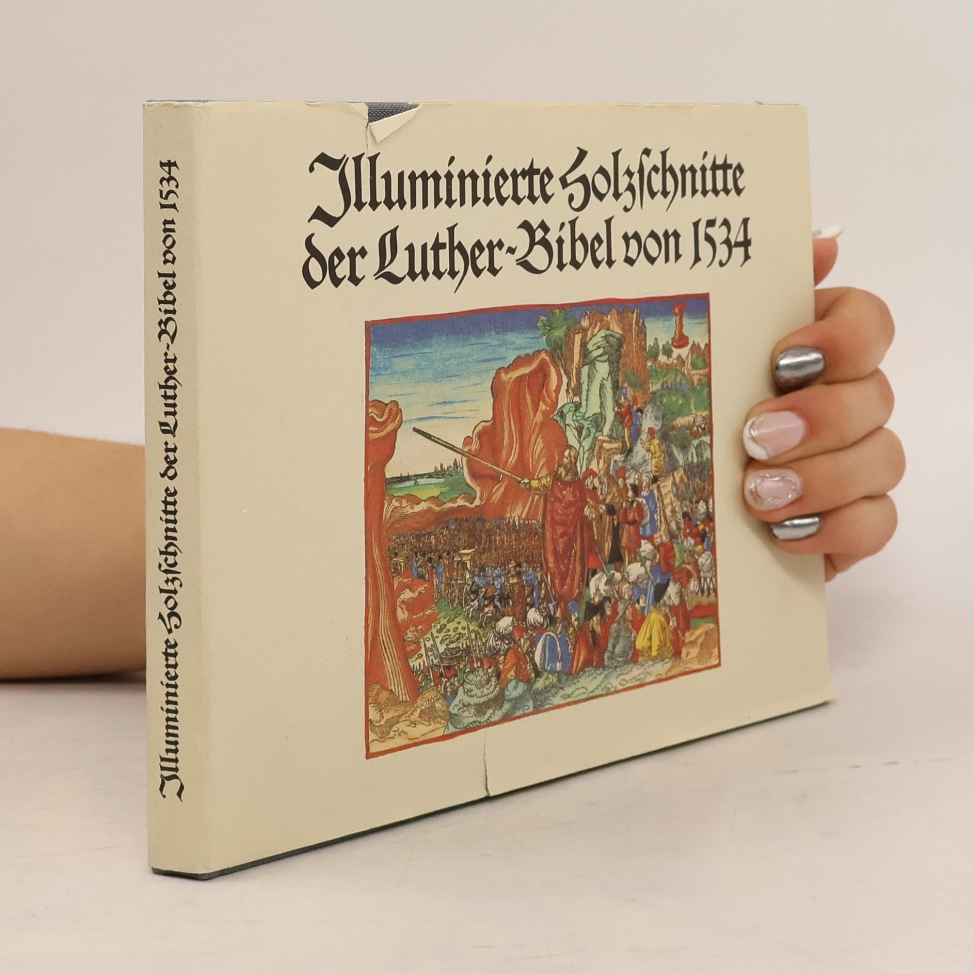 Autorenkollektiv Illuminierte Holzschnitte der Luther-Bible von 1534