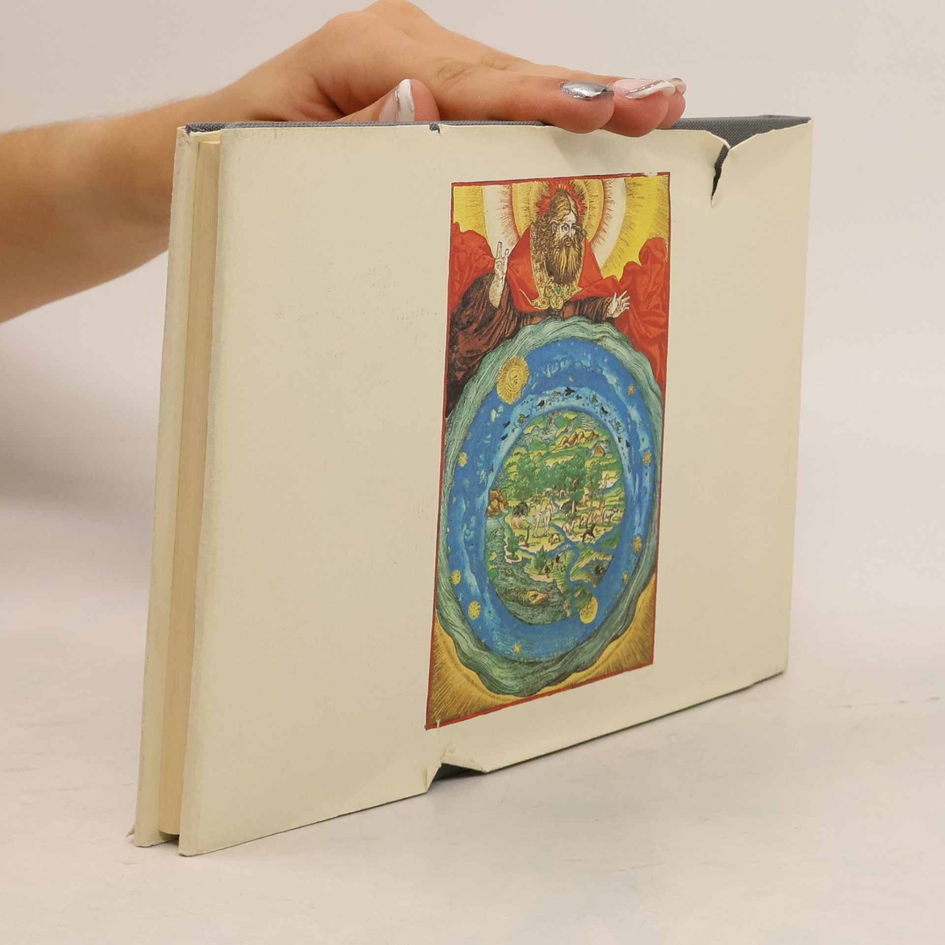 Autorenkollektiv Illuminierte Holzschnitte der Luther-Bible von 1534