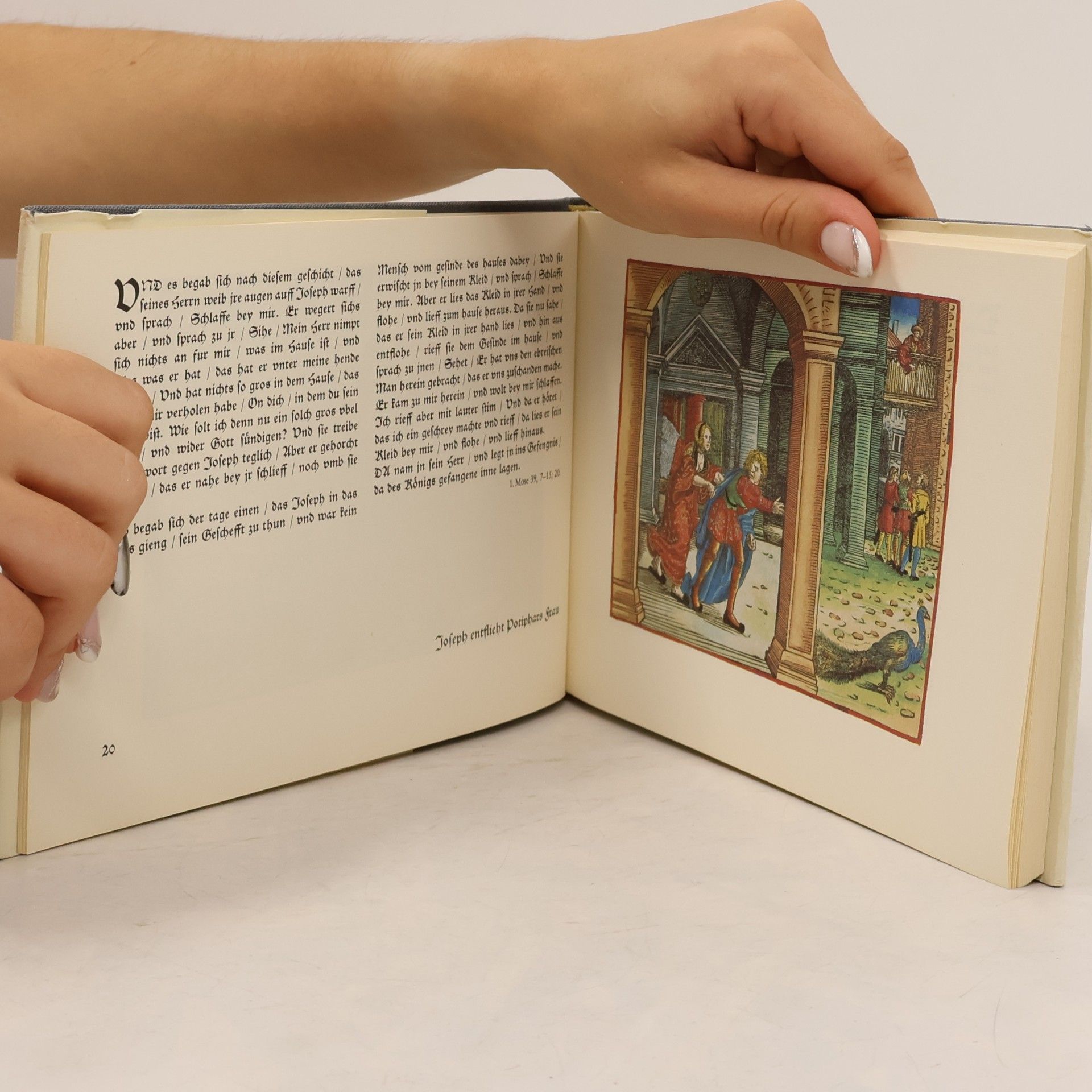 Autorenkollektiv Illuminierte Holzschnitte der Luther-Bible von 1534