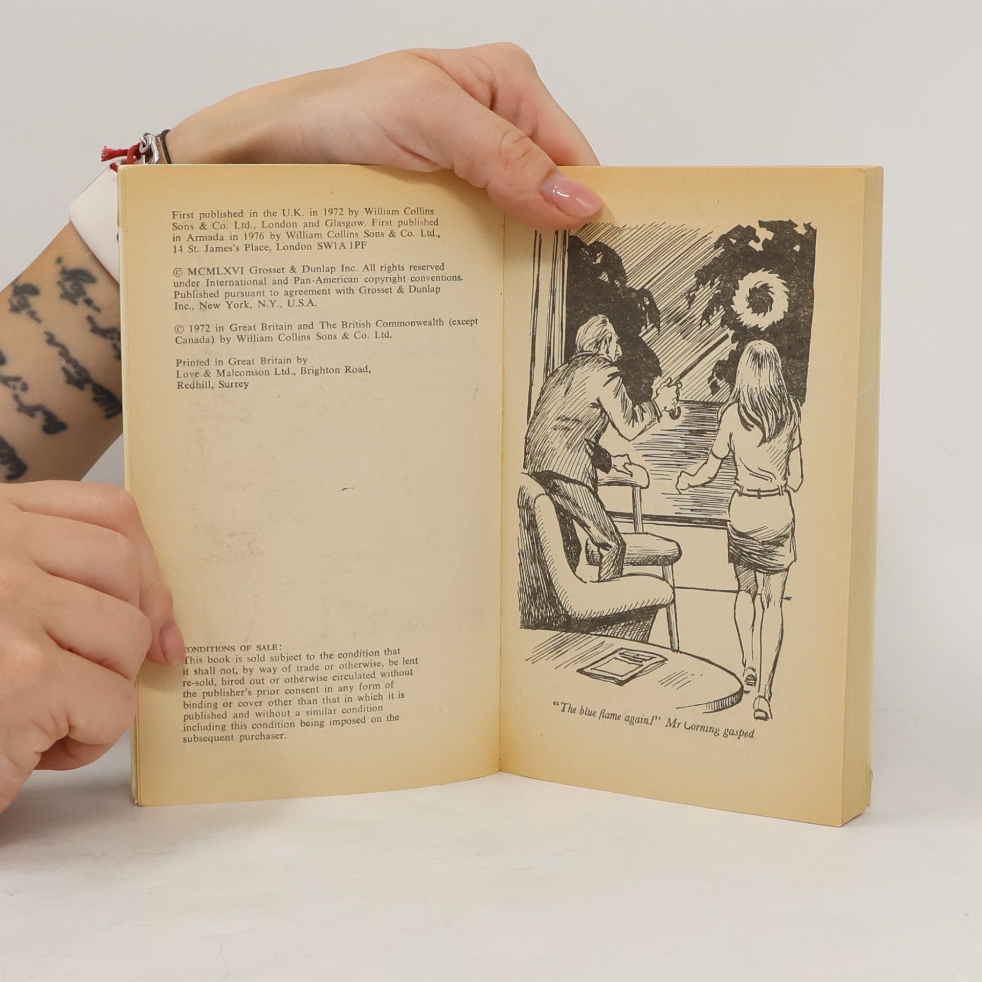 Carolyn Keene Nancy Drew Mystery - 12: Password to Larkspur Lane