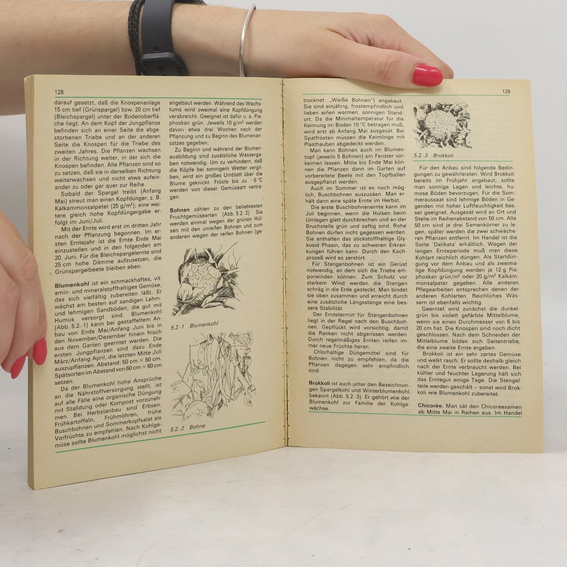 Autorenkollektiv Handbuch für den Garten