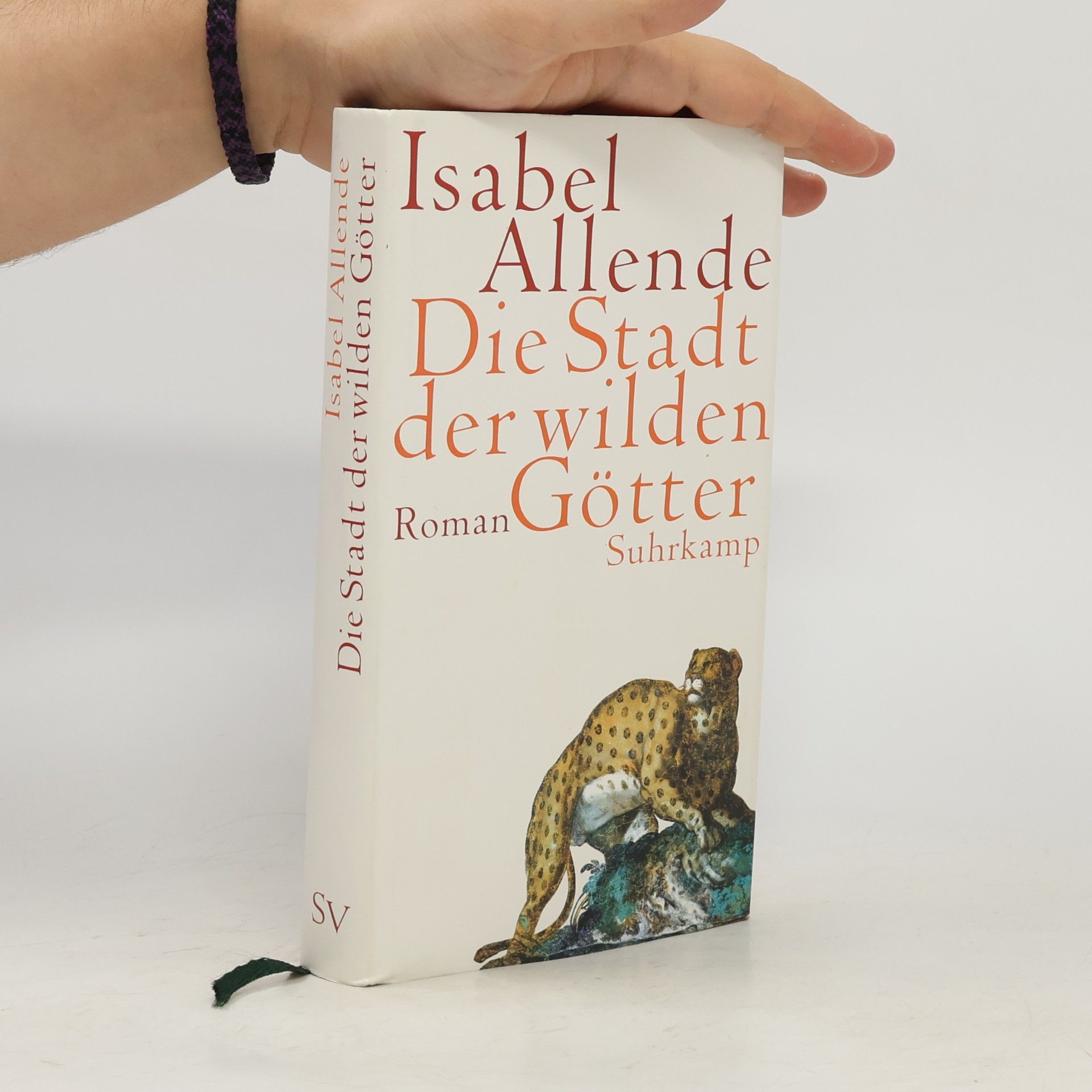 Isabel Allende Die Stadt der wilden Götter