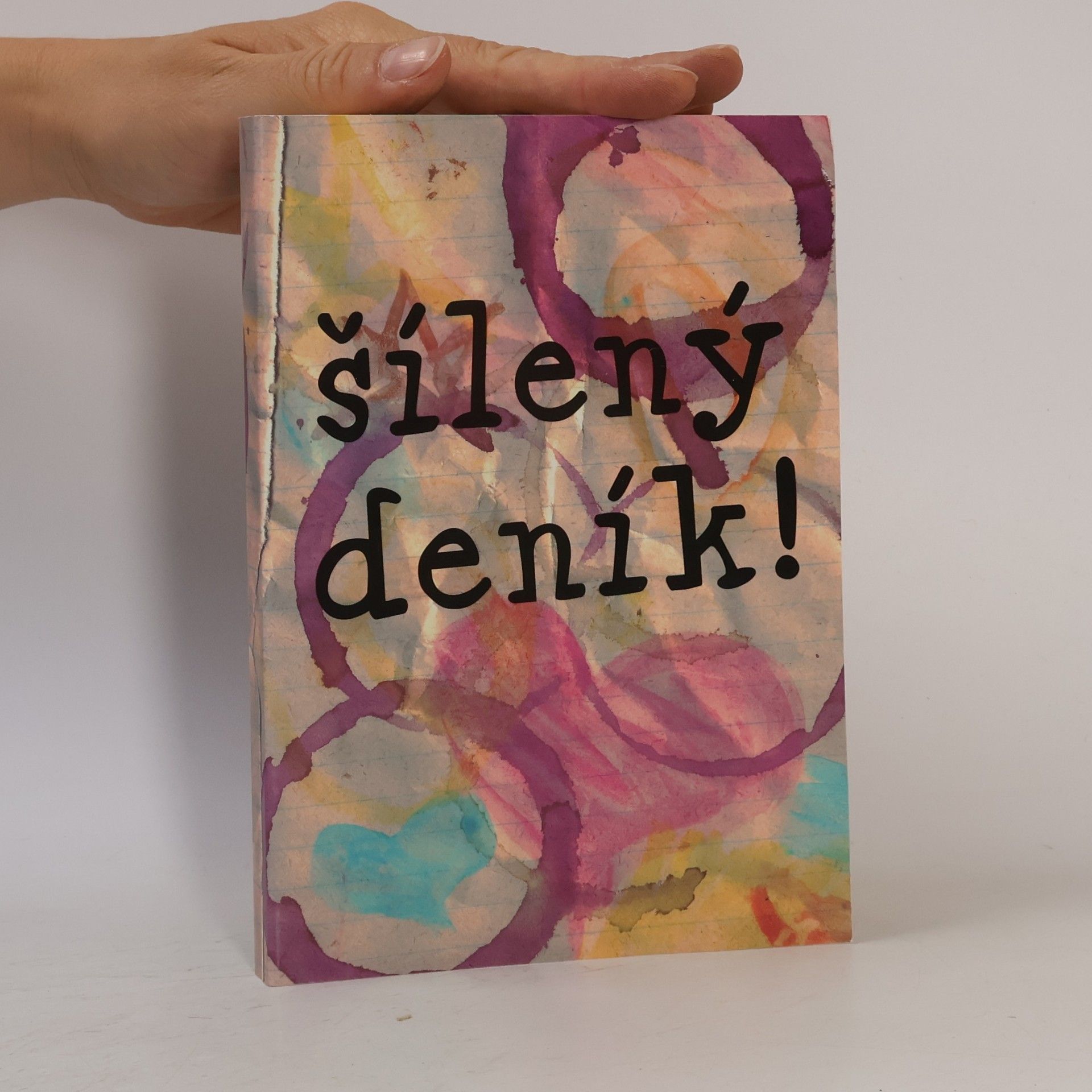 Marie Hohlová Šílený deník!