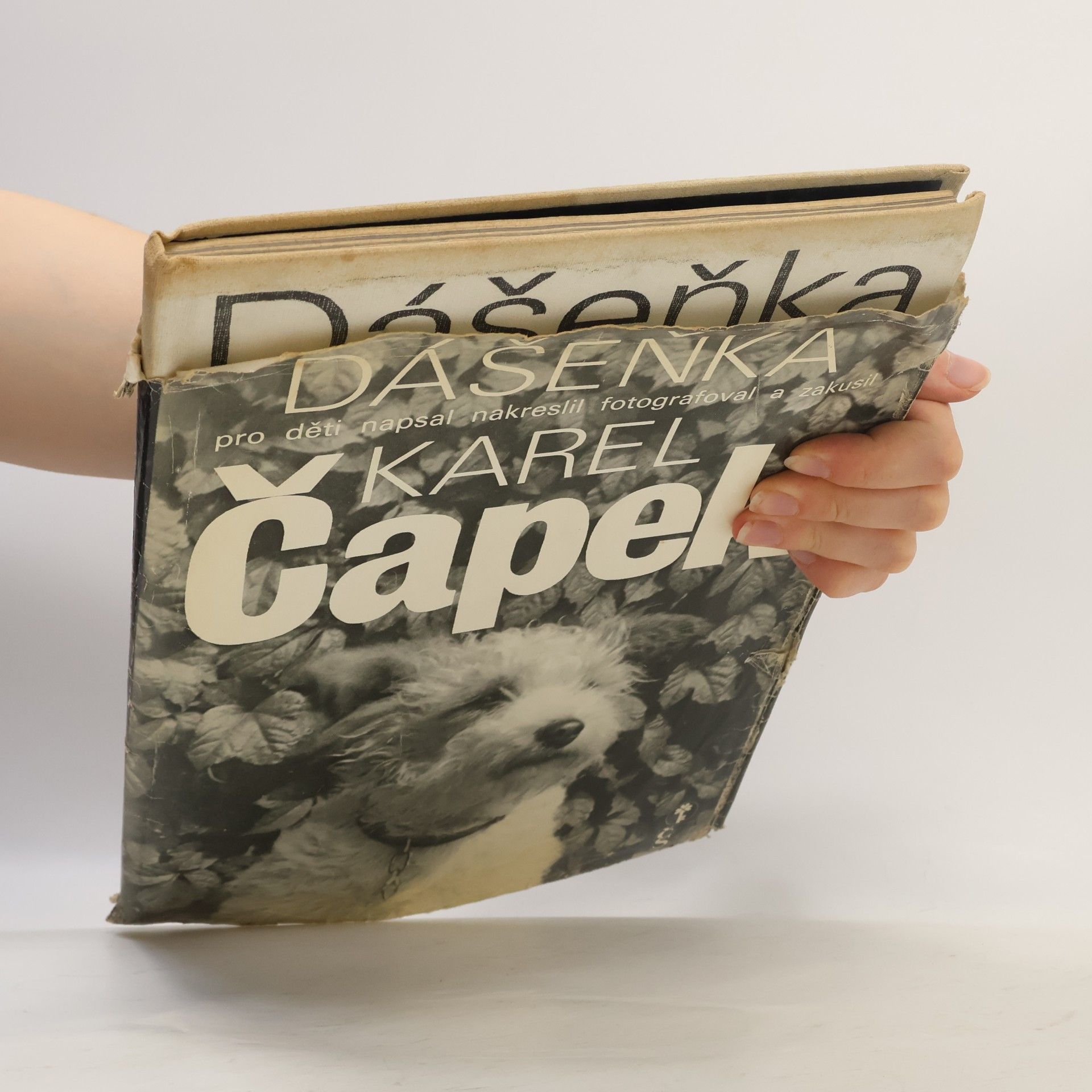 Karel Čapek Dášeňka čili život štěněte