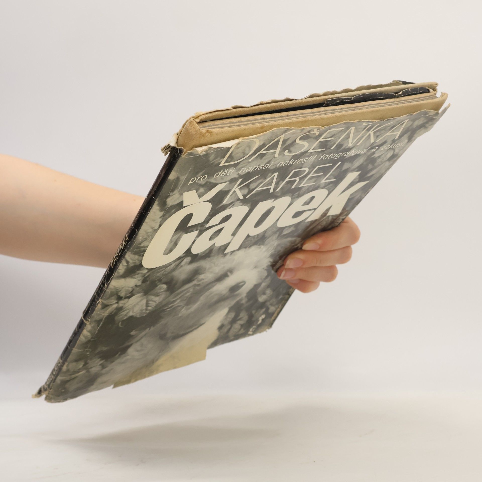 Karel Čapek Dášeňka čili život štěněte