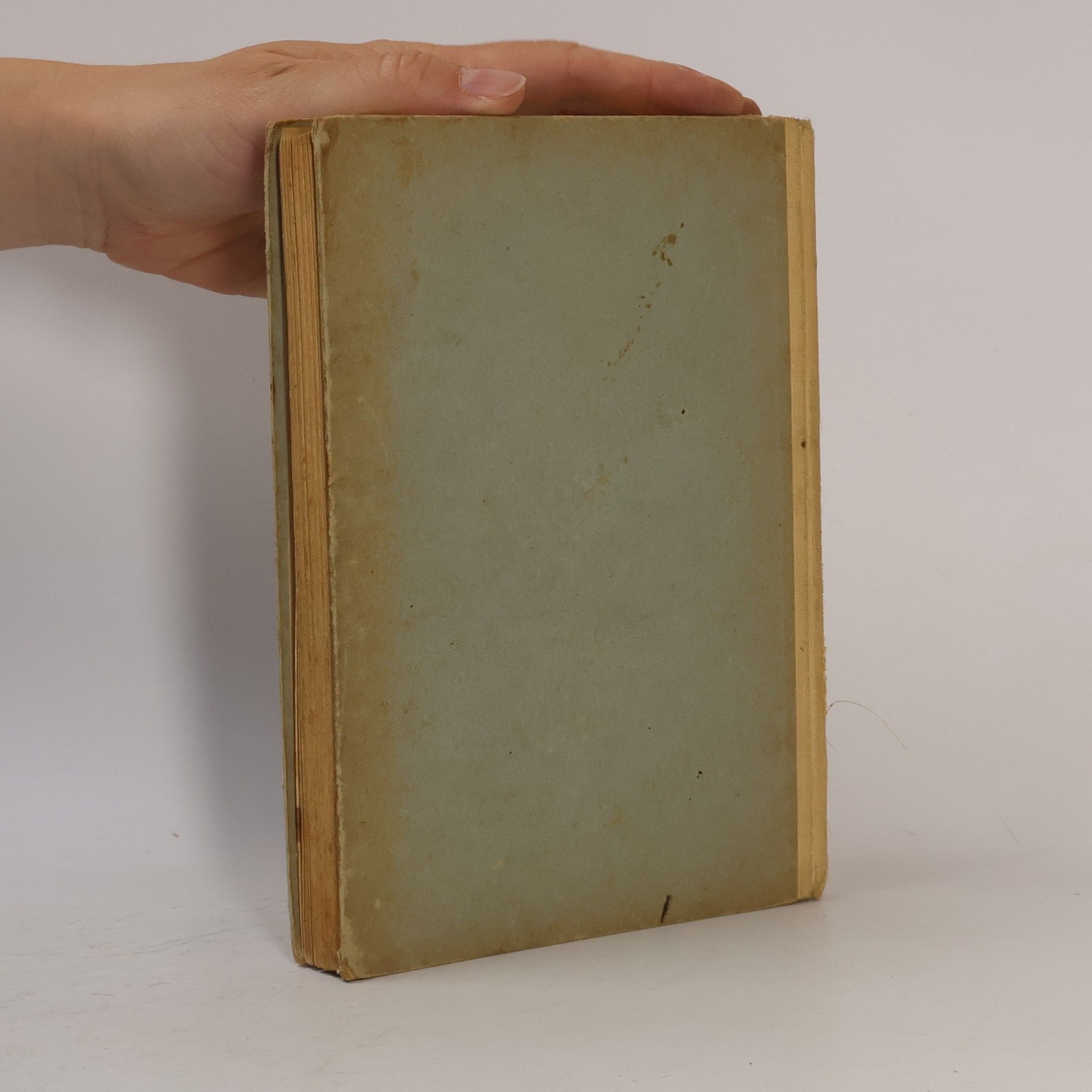 Božena Němcová V zámku a podzámčí