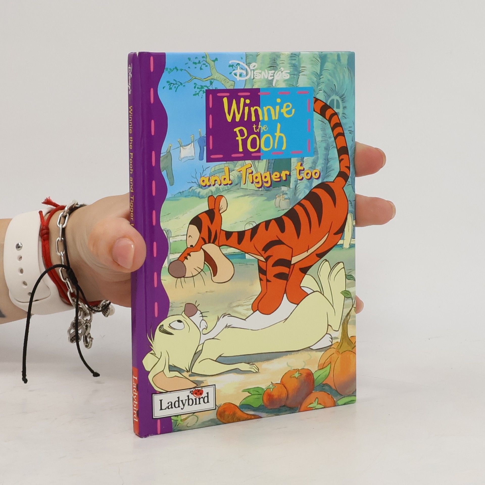 A.A. Milne Winnie The Pooh Storybook