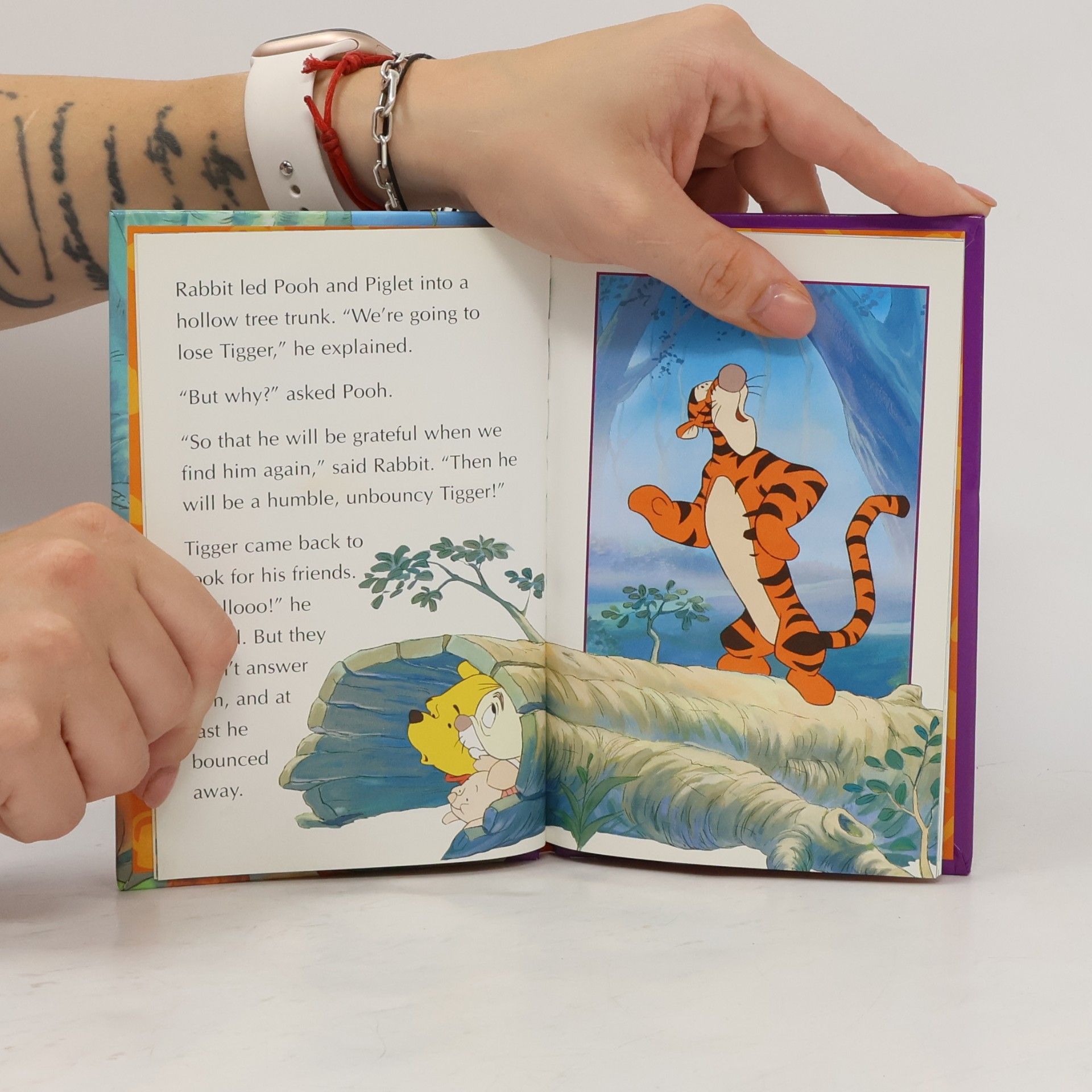 A.A. Milne Winnie The Pooh Storybook