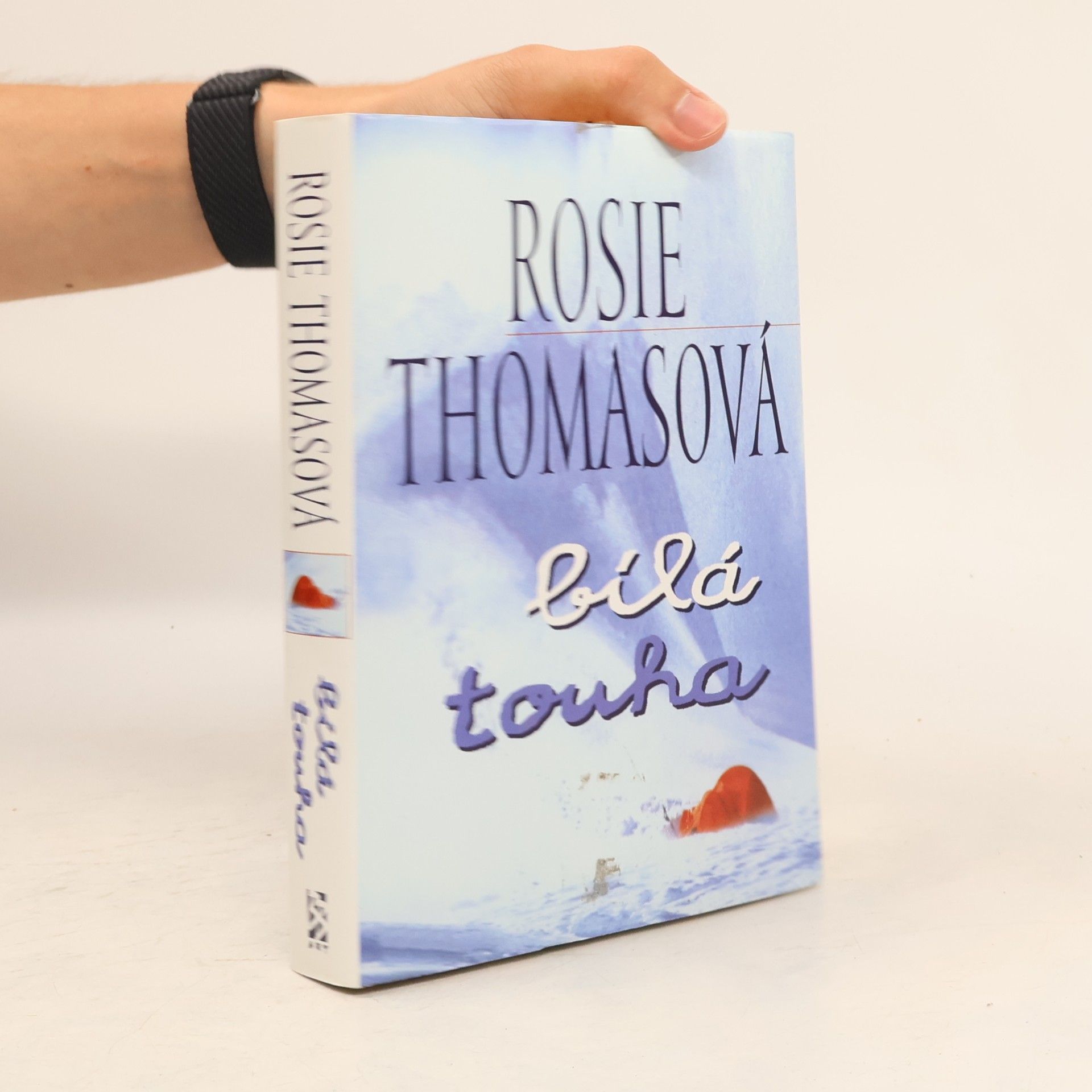 Rosie Thomas Bílá touha