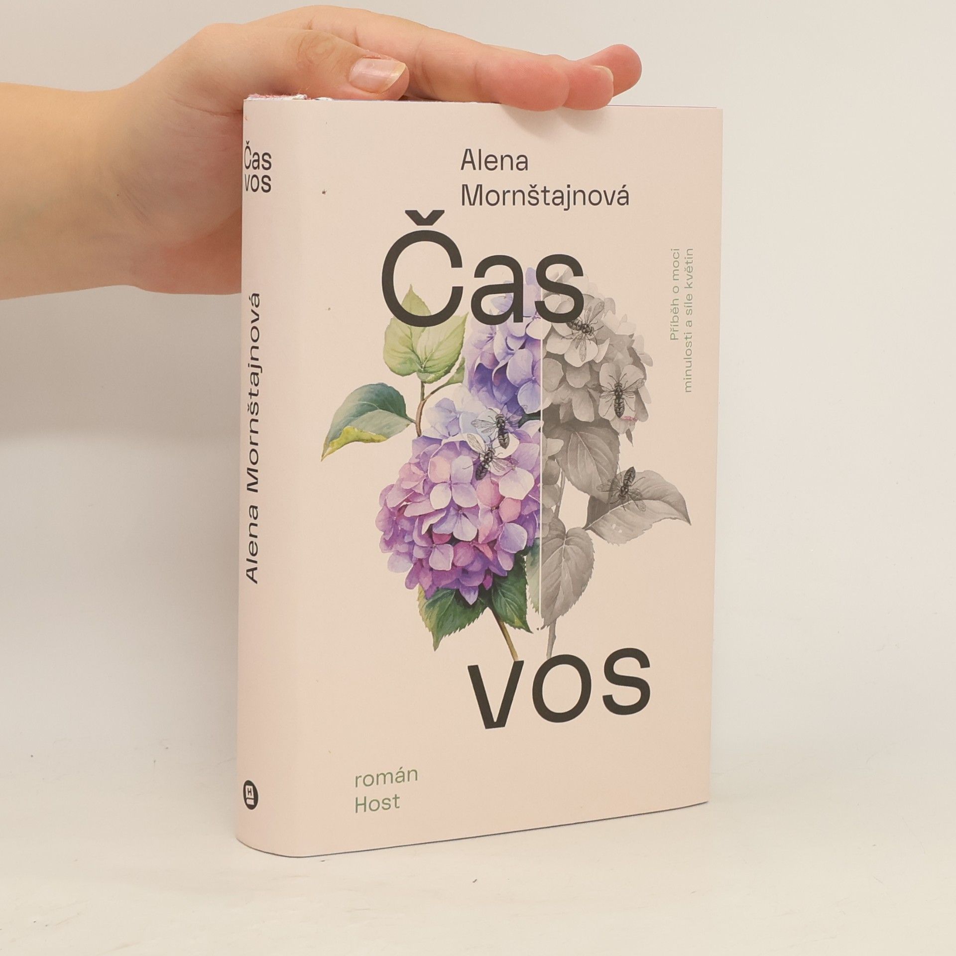 Alena Mornštajnová Čas vos