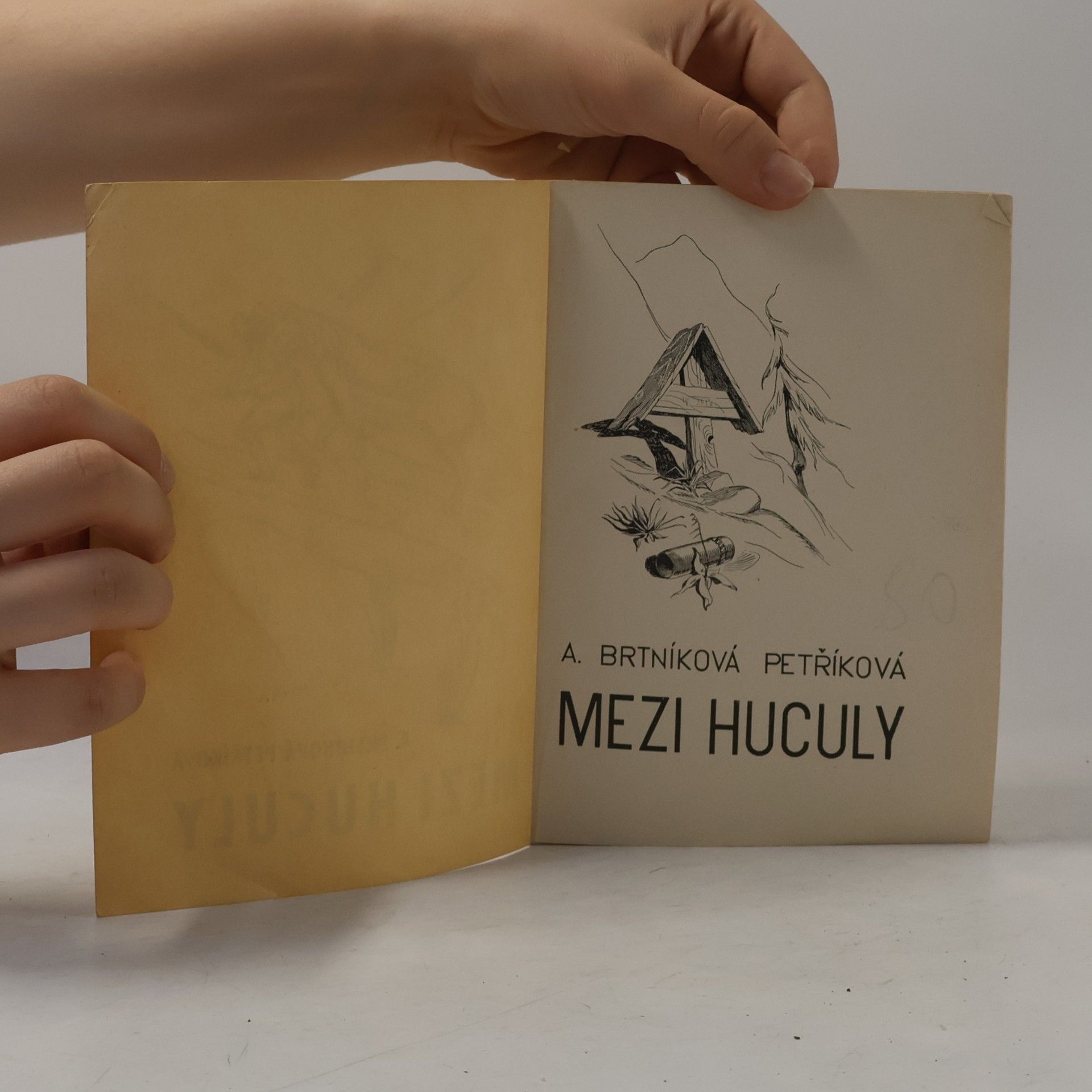 Anna Brtníková-Petříková Mezi huculy