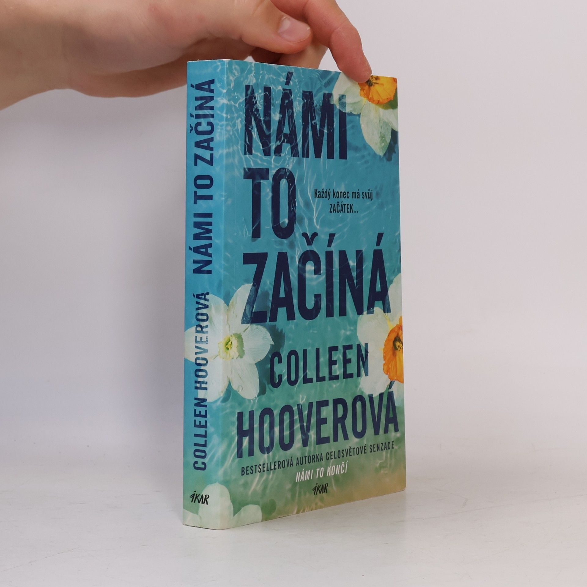 Colleen Hoover Námi to začíná