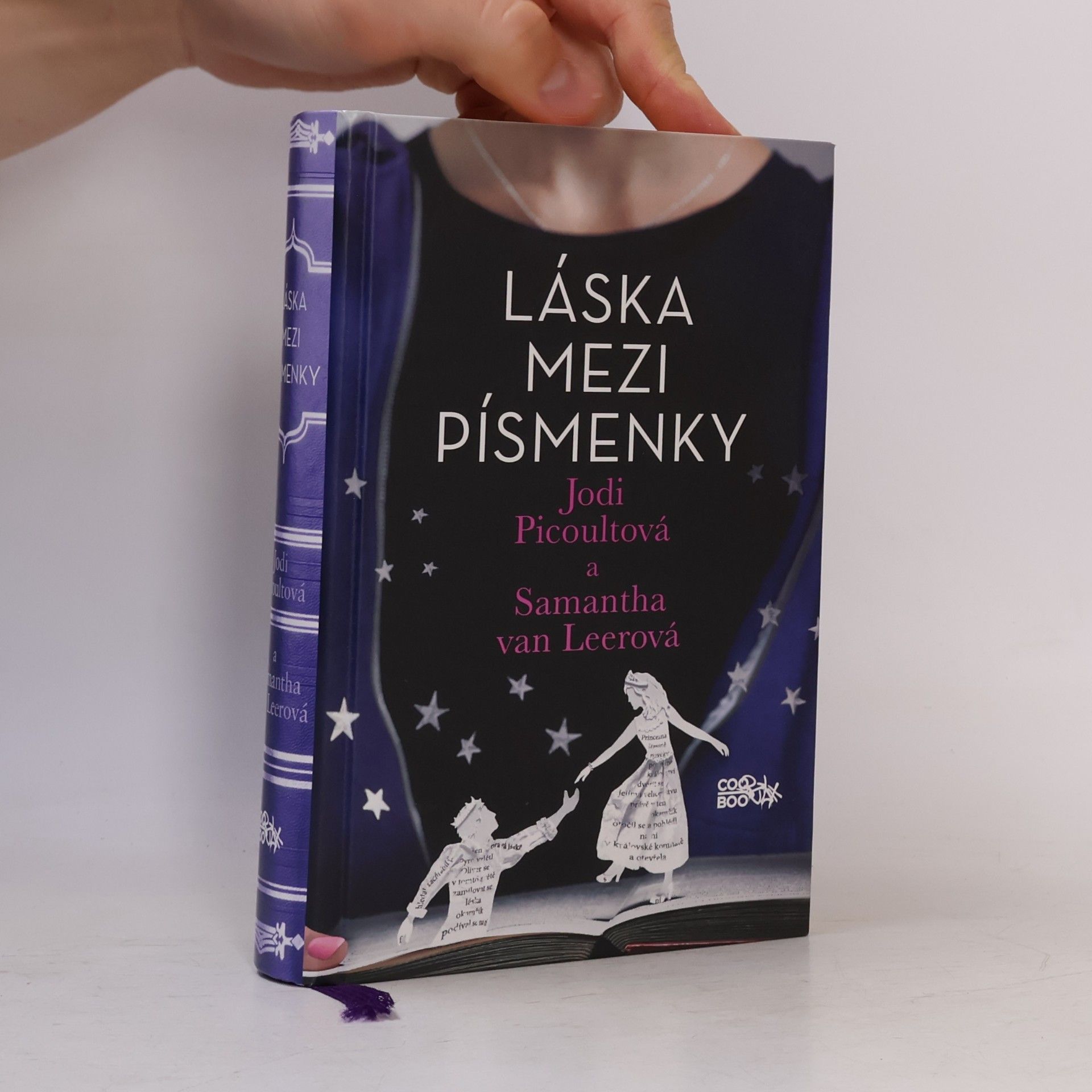 Jodi Picoult Láska mezi písmenky