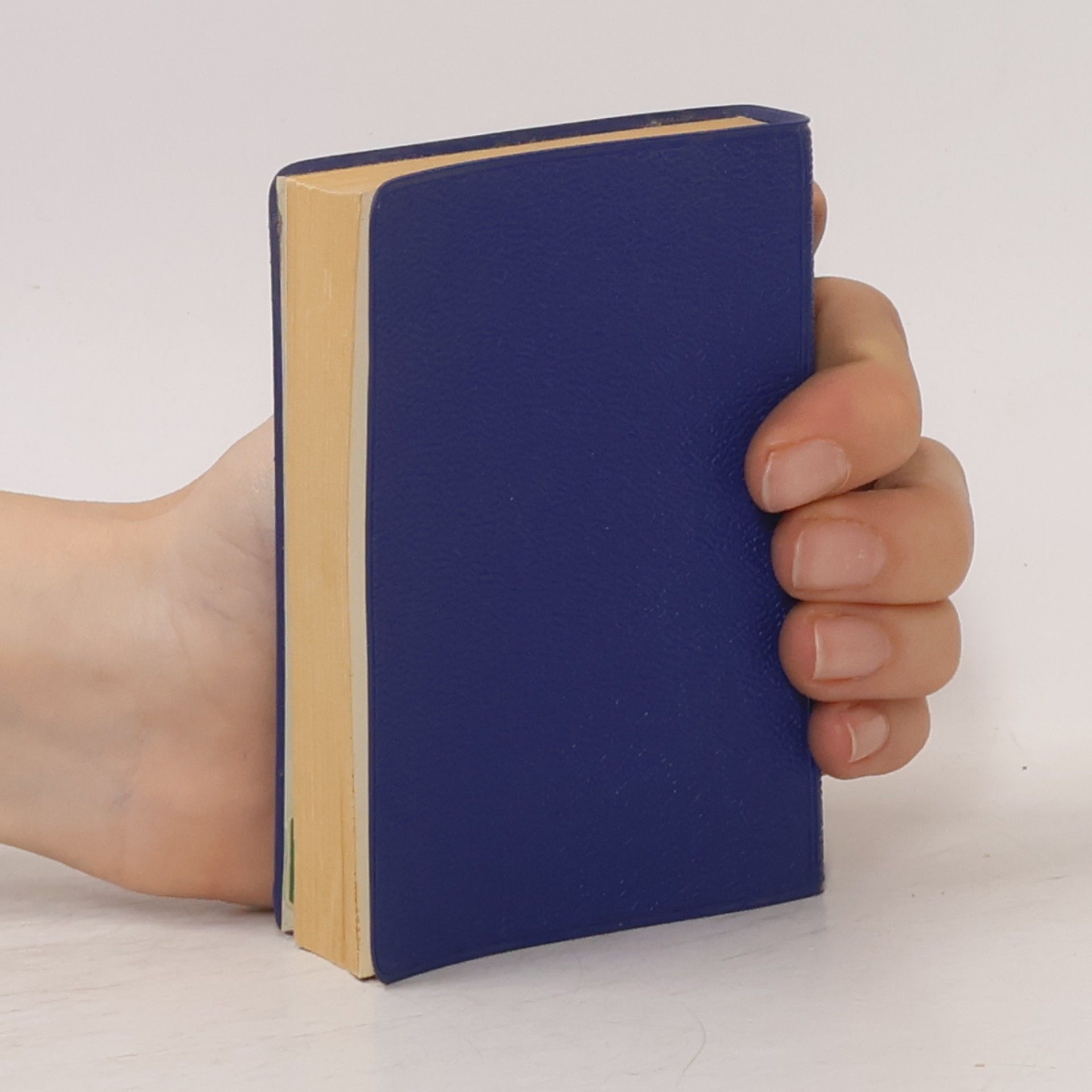 Autorenkollektiv Langenscheidts Universal-Wörterbuch
