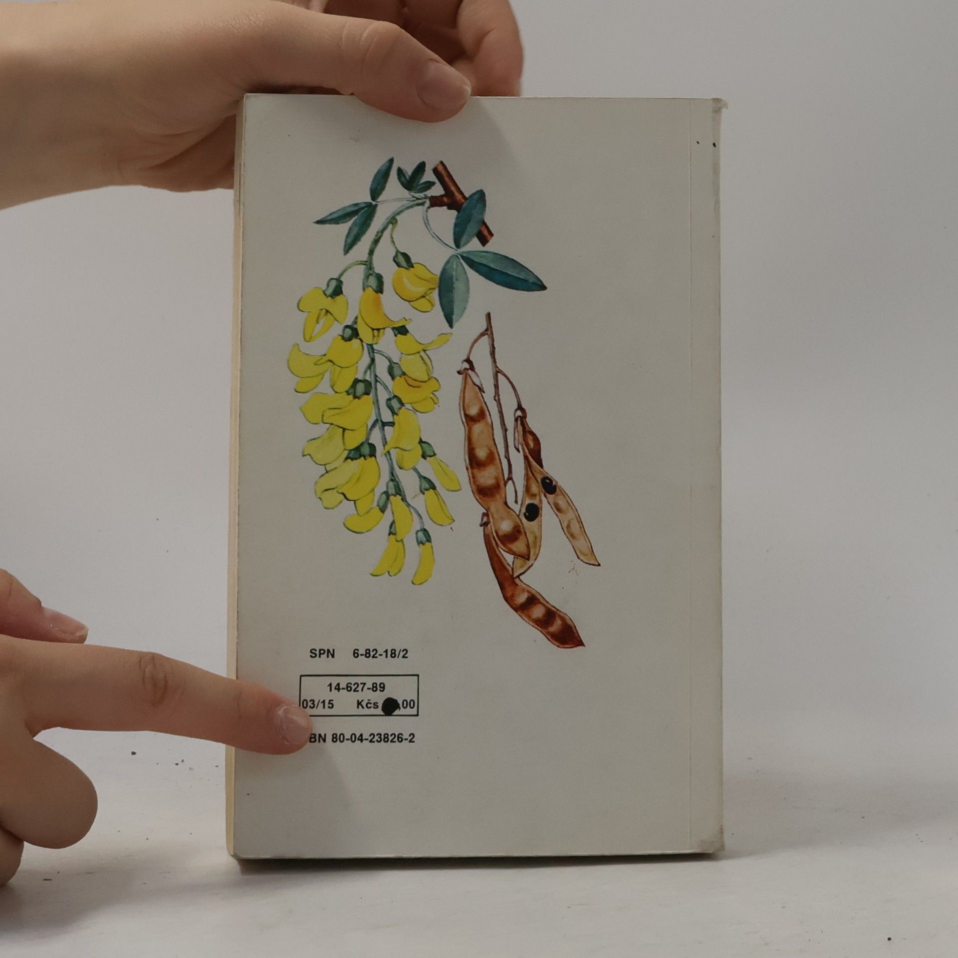 Přemysl Vanke Plody planých a parkových rostlin : kapesní atlas : pomocná kniha pro biologické zájmové kroužky na školách, v Domech pionýrů a