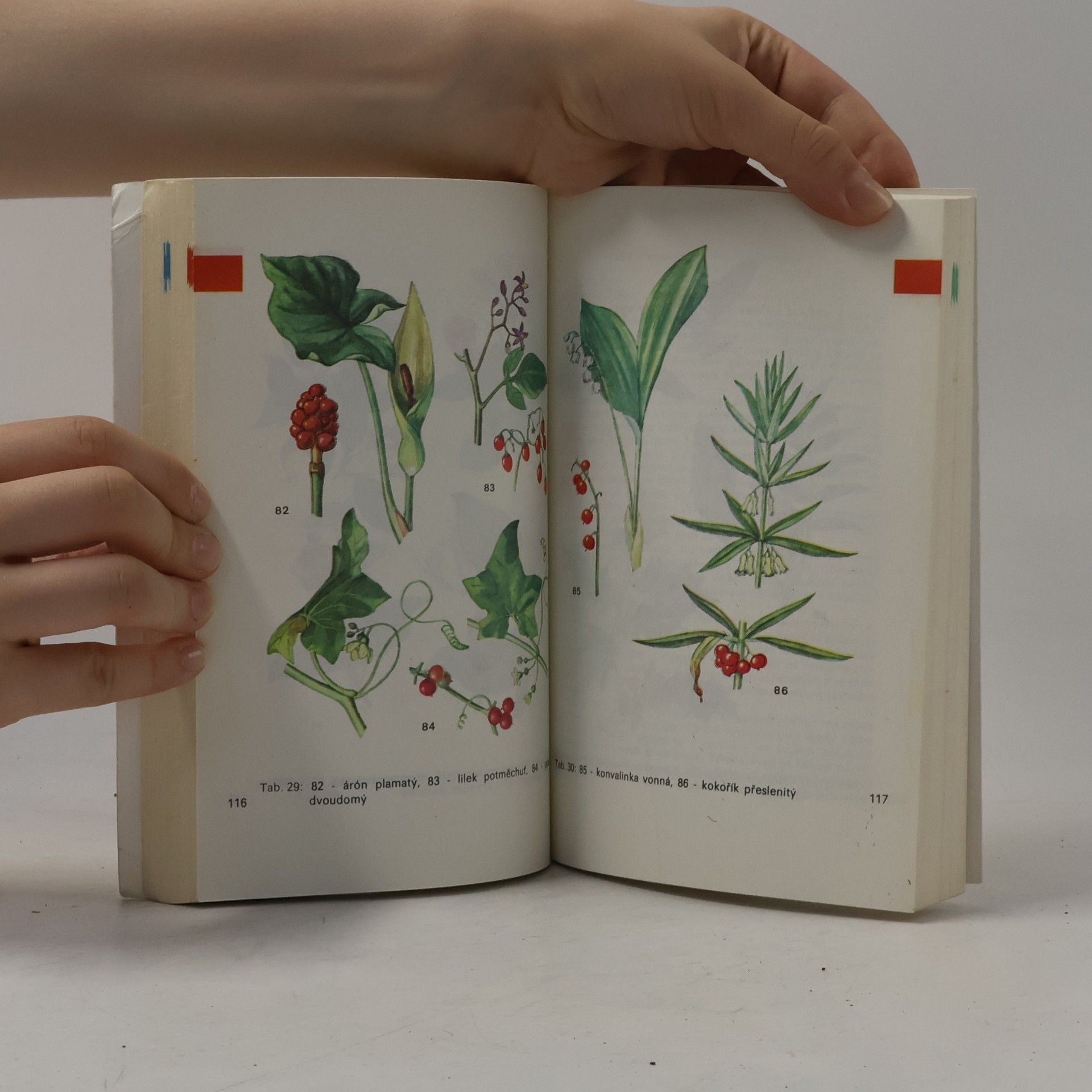 Přemysl Vanke Plody planých a parkových rostlin : kapesní atlas : pomocná kniha pro biologické zájmové kroužky na školách, v Domech pionýrů a