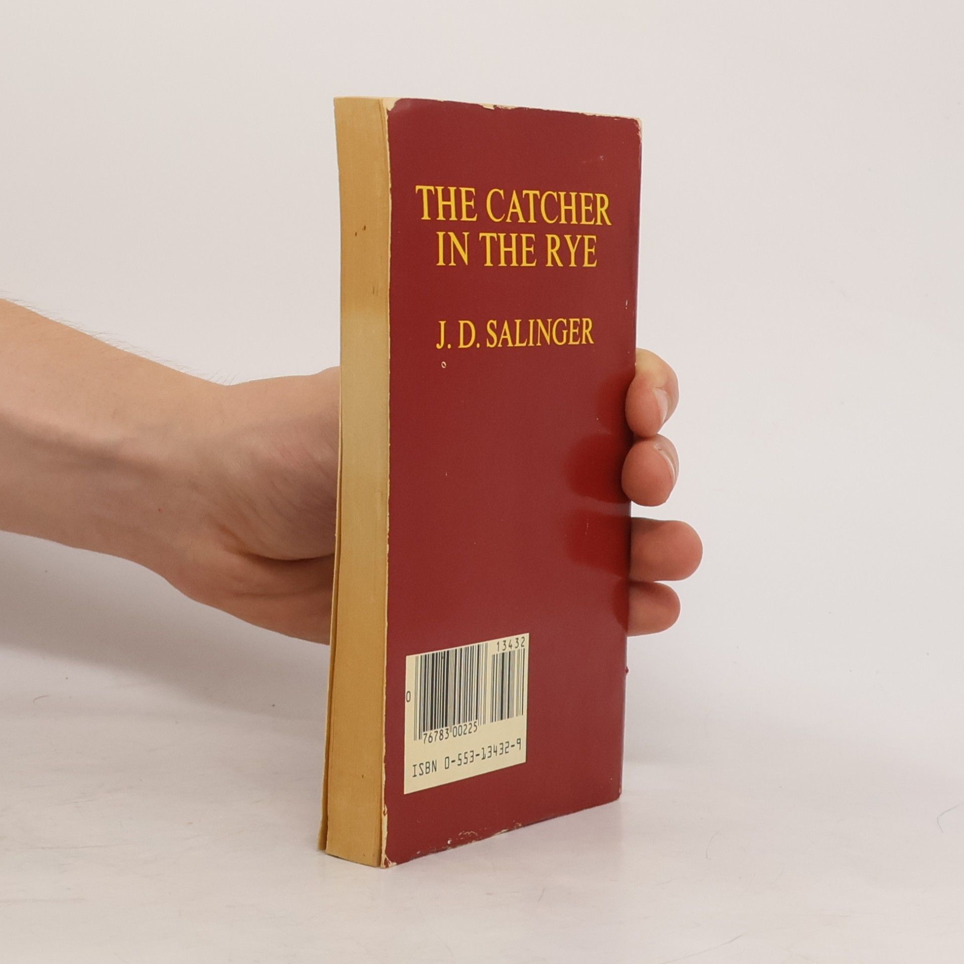 J. D. Salinger The Catcher in the Rye