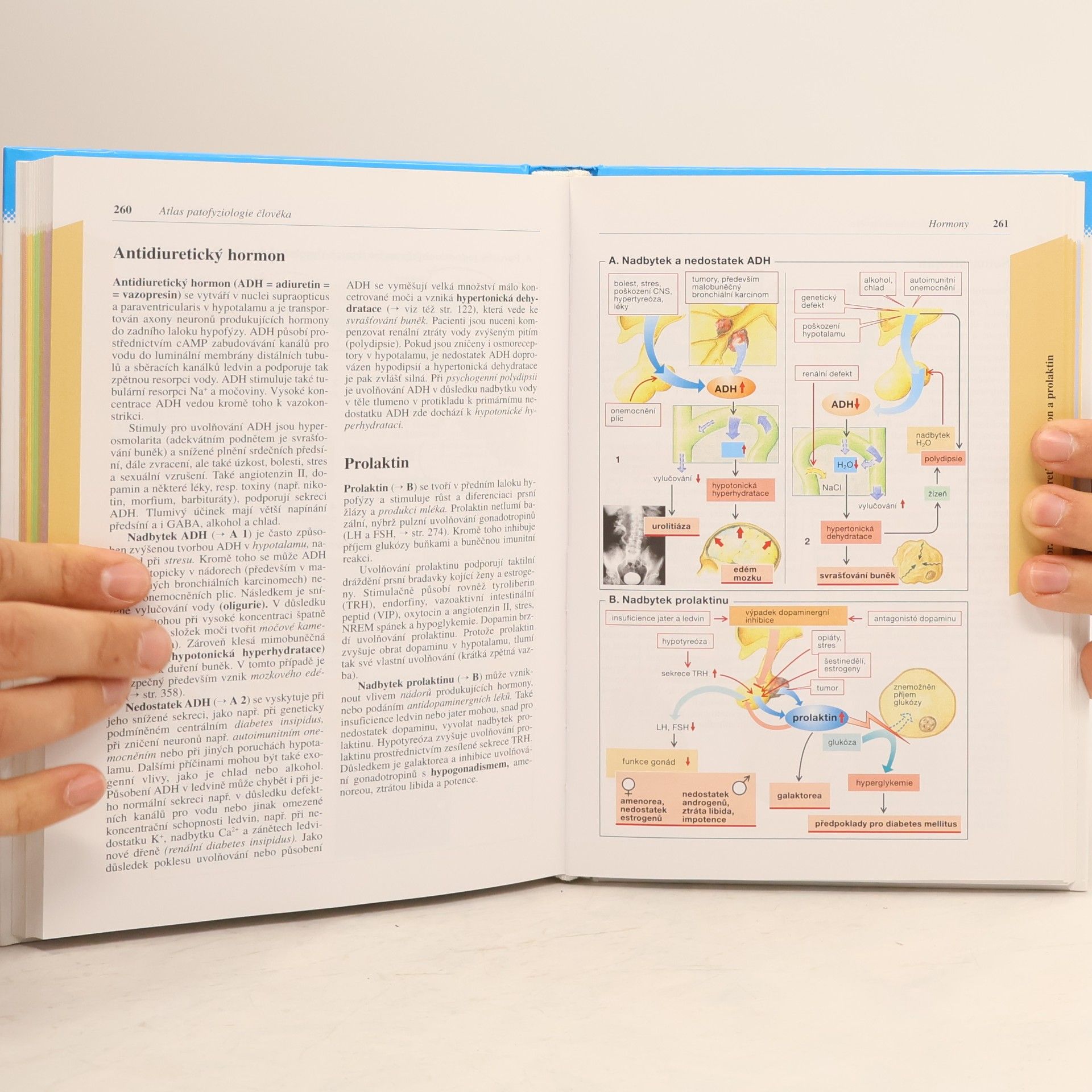 Stefan Silbernagl Atlas patofyziologie člověka