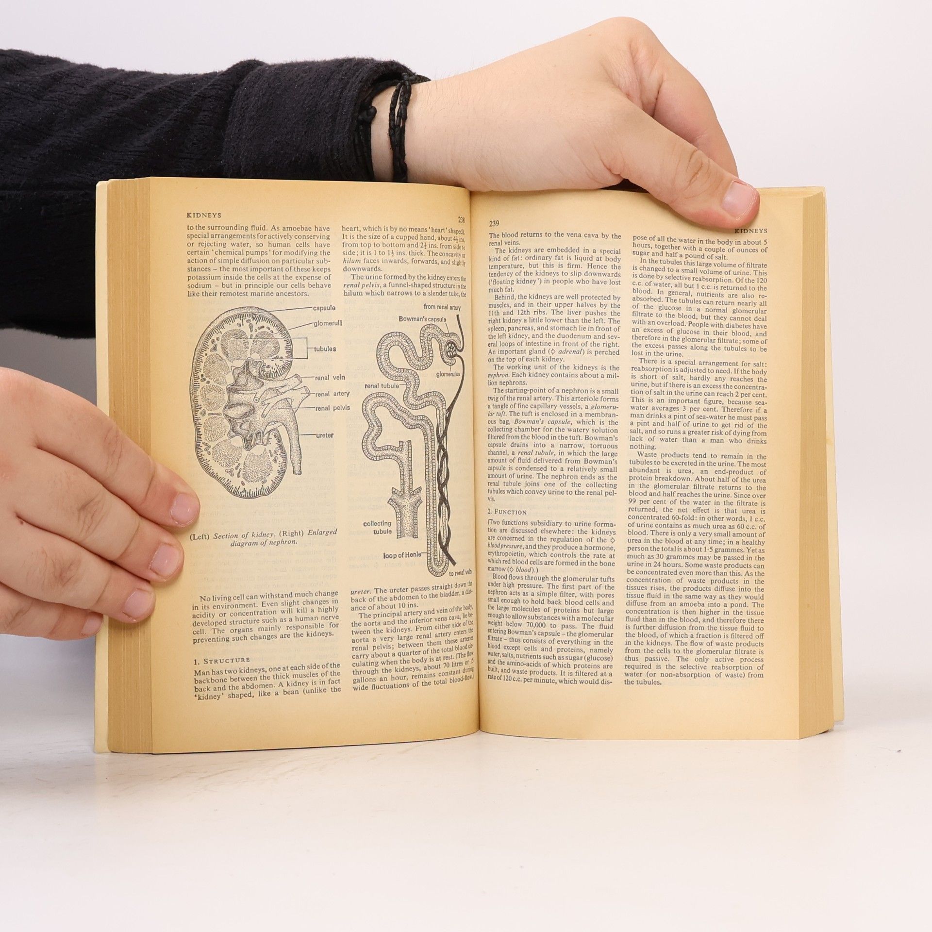 Peter Wingate The Penguin Medical Encyclopedia
