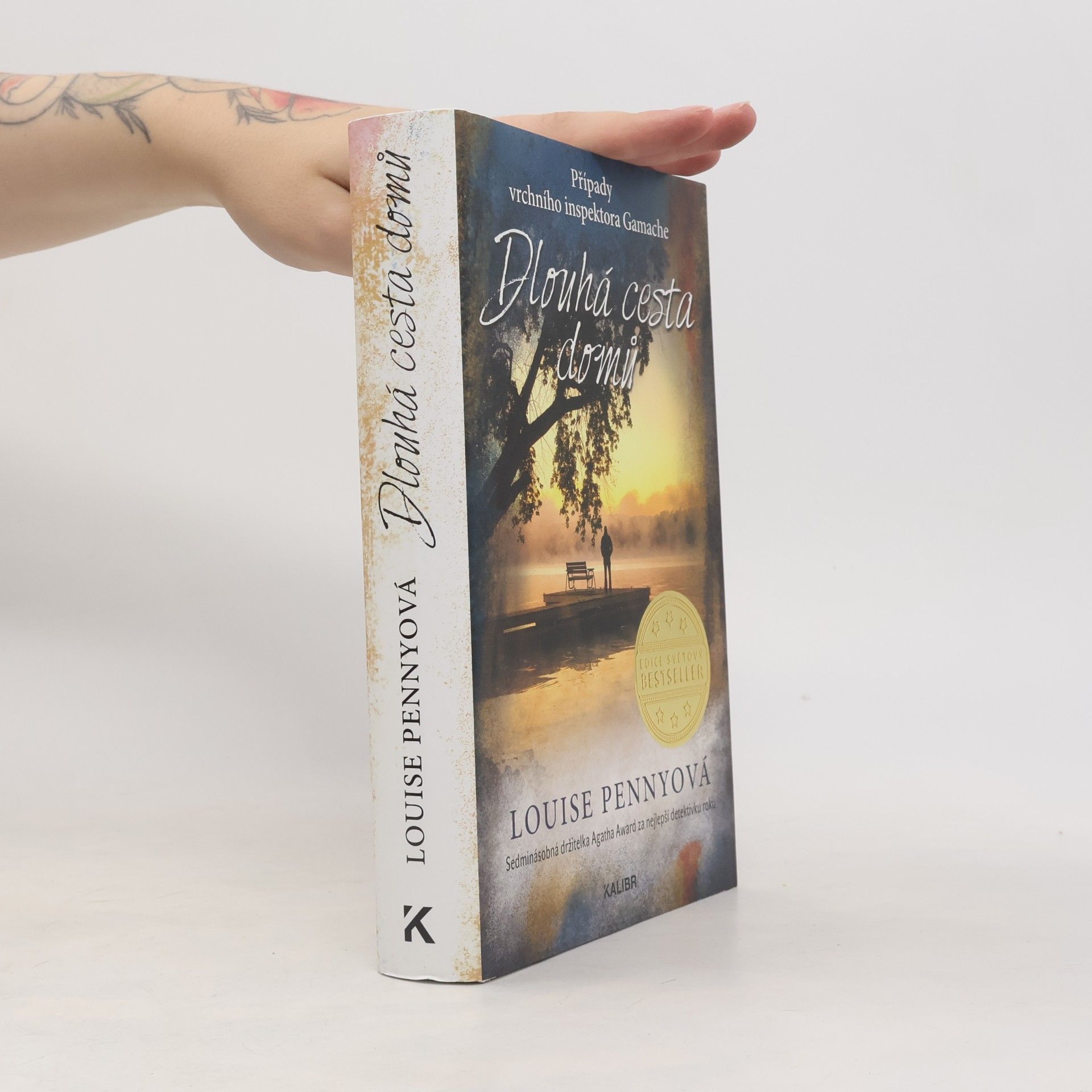 Louise Penny Dlouhá cesta domů