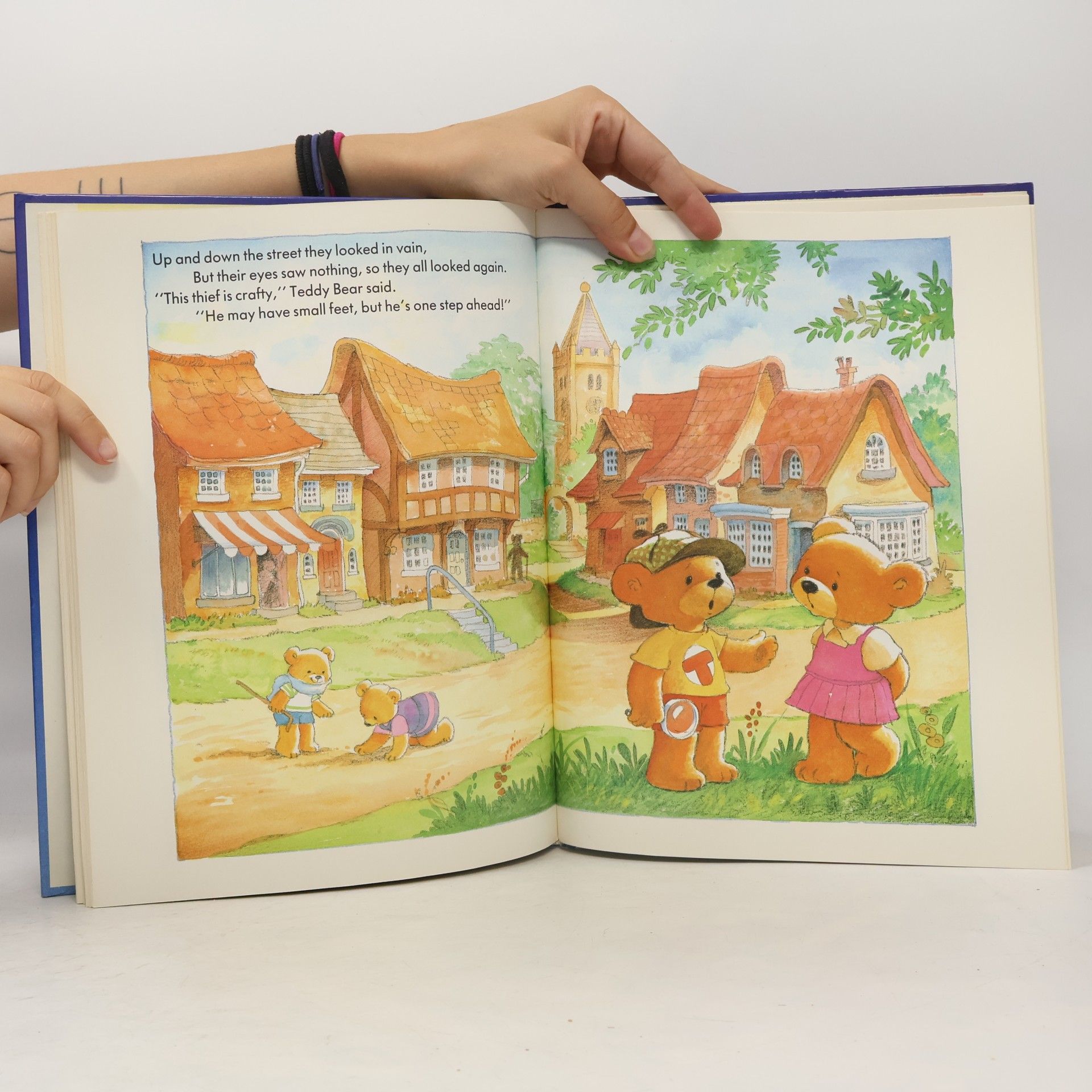 Brian Miles A Treasury of Teddy Tales
