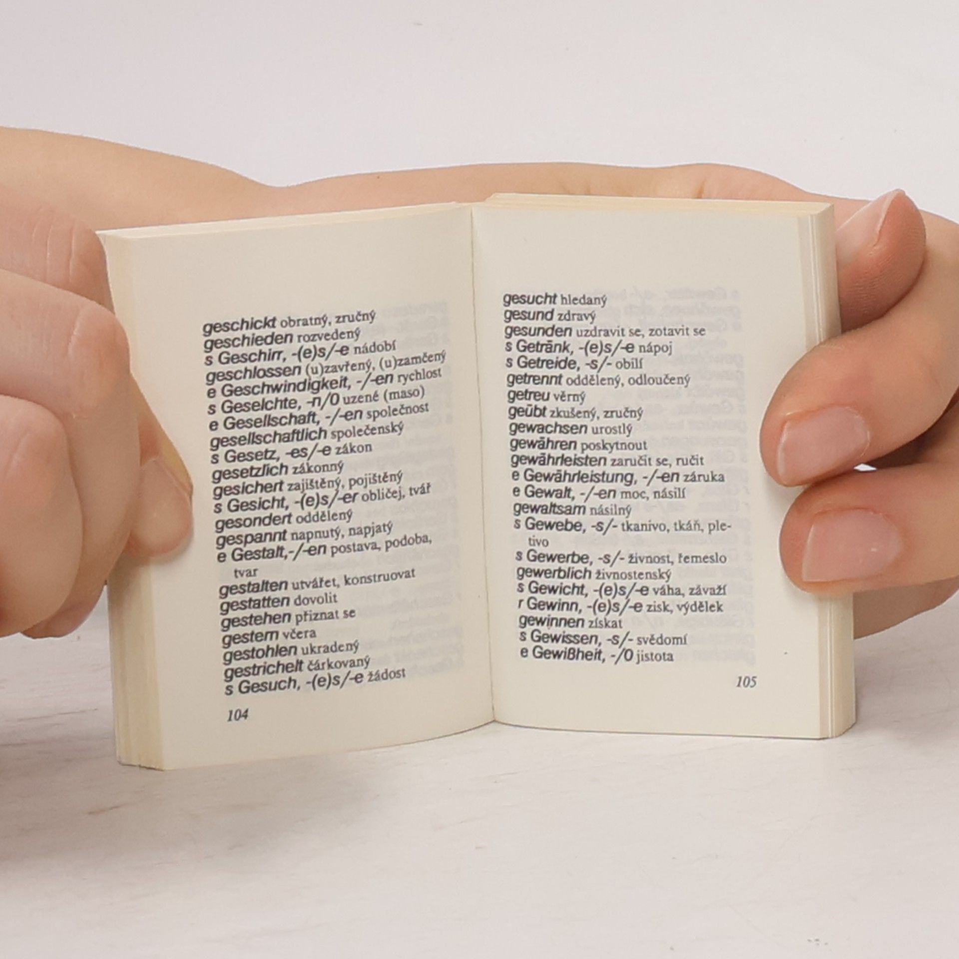 Autorenkollektiv Německo-český slovník = Deutsch-tschechisches Worterbuch Deutsch-tschechisches Worterbuch