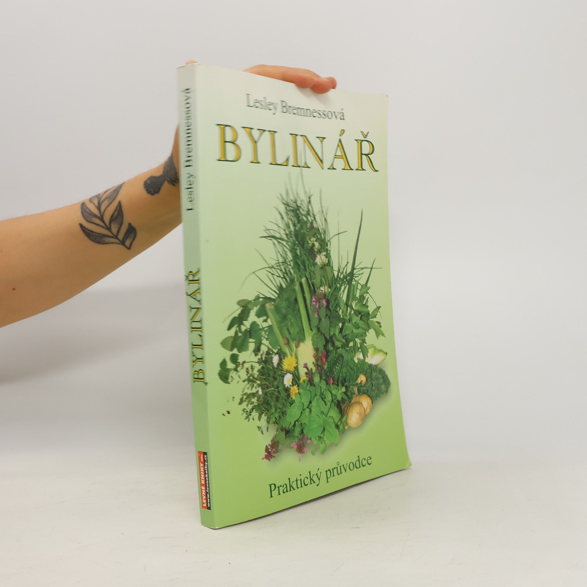Bylinář