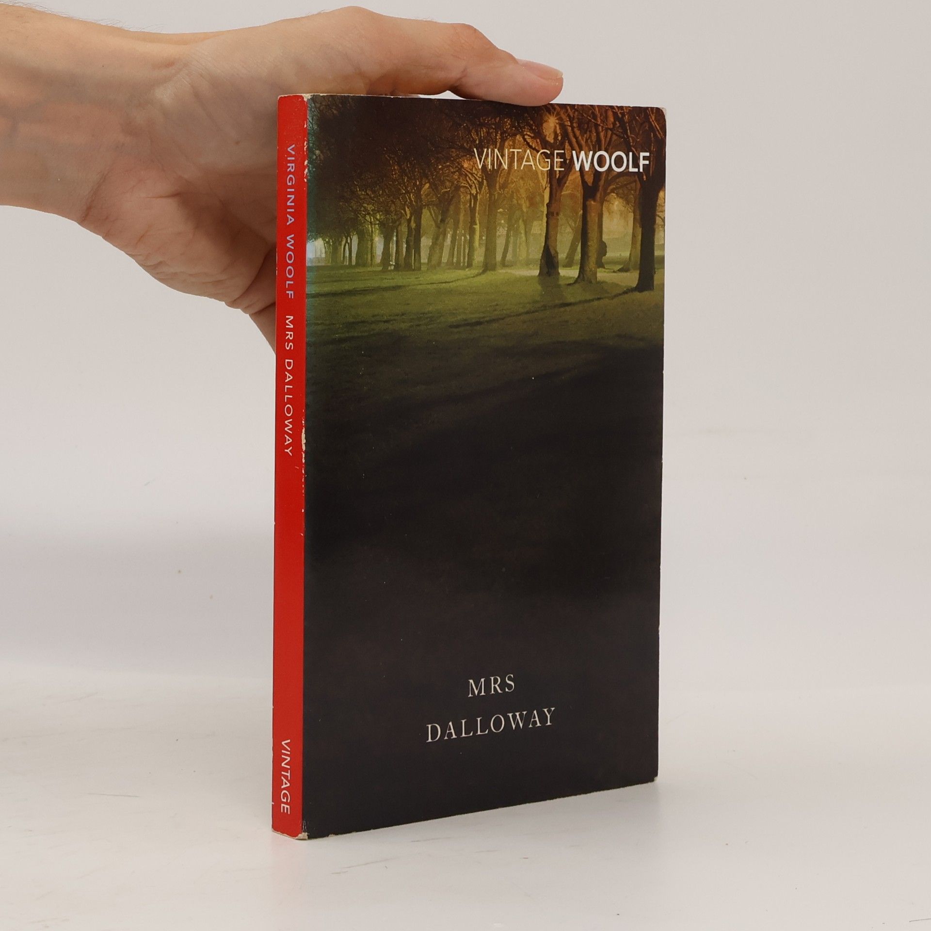 Virginia Woolf Mrs Dalloway