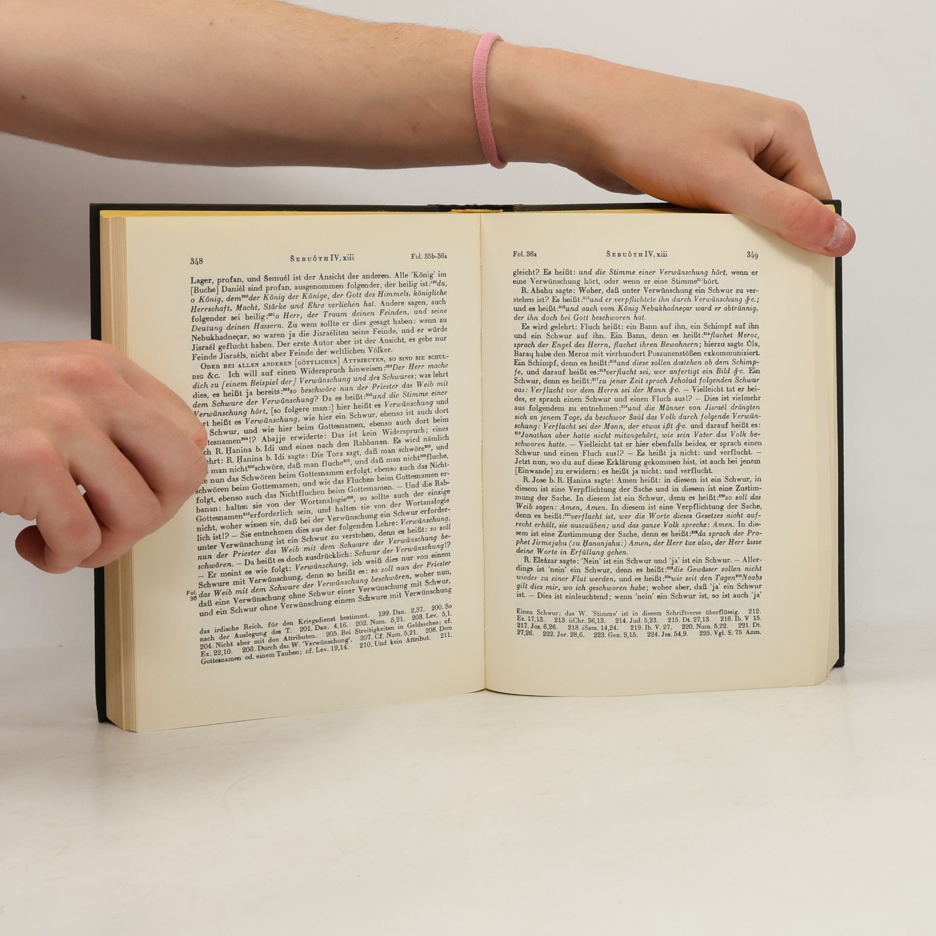 Lazarus Goldschmidt Der Babylonische Talmud 9