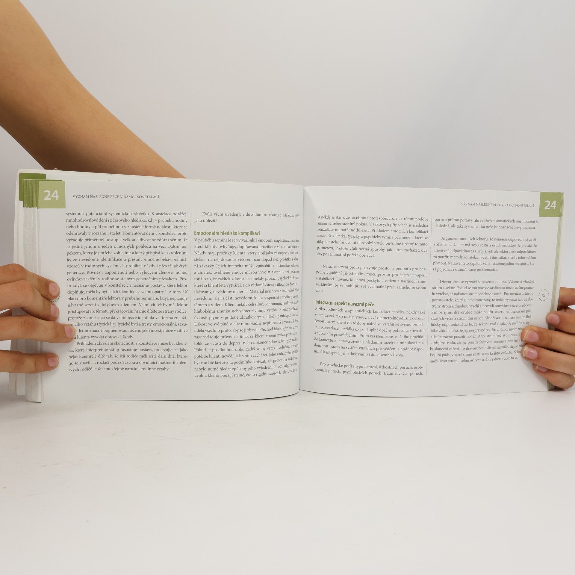 Vojtěch Černý Rodinné konstelace: Psychoterapie a spiritualita