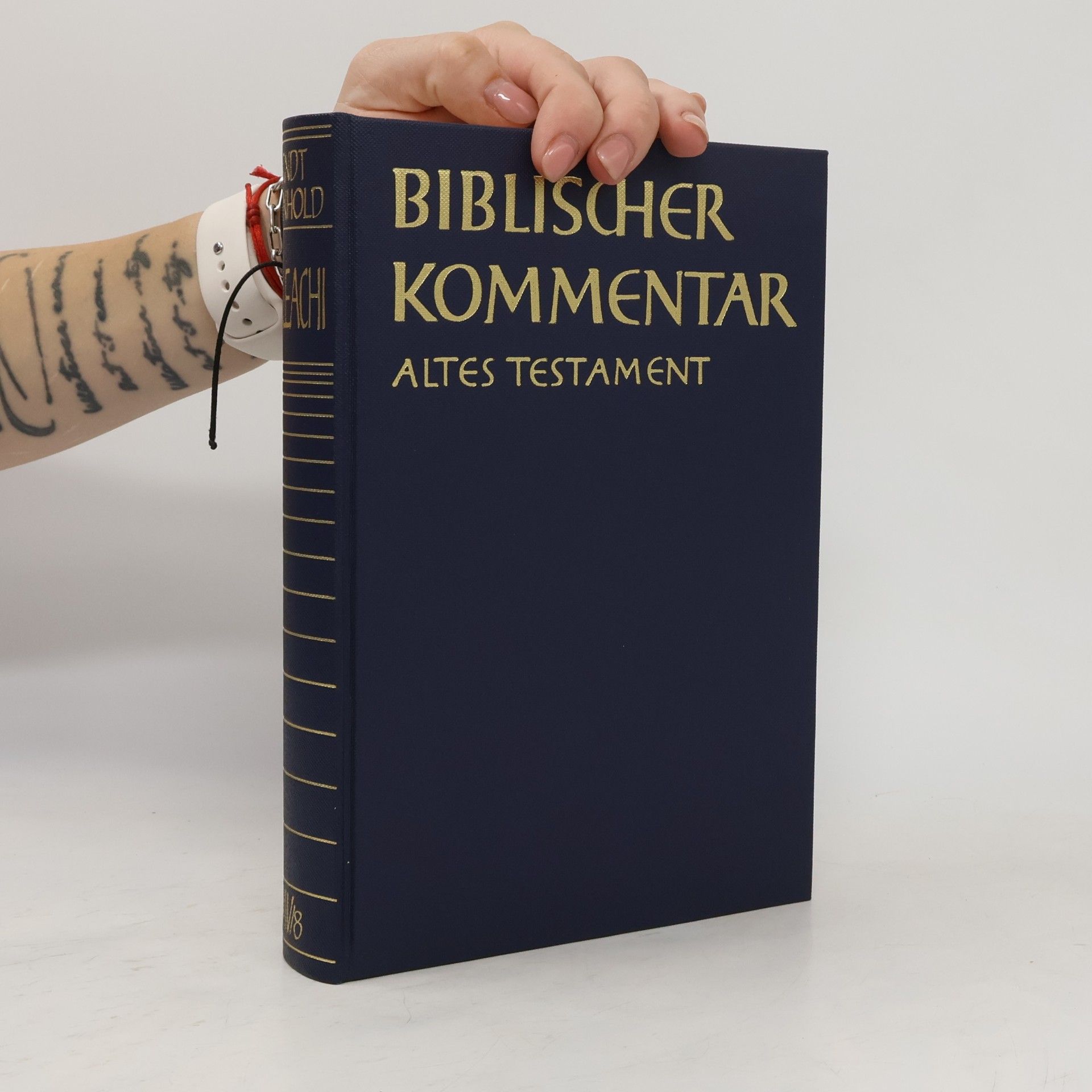 Arndt Meinhold Biblischer Kommentar 1/8