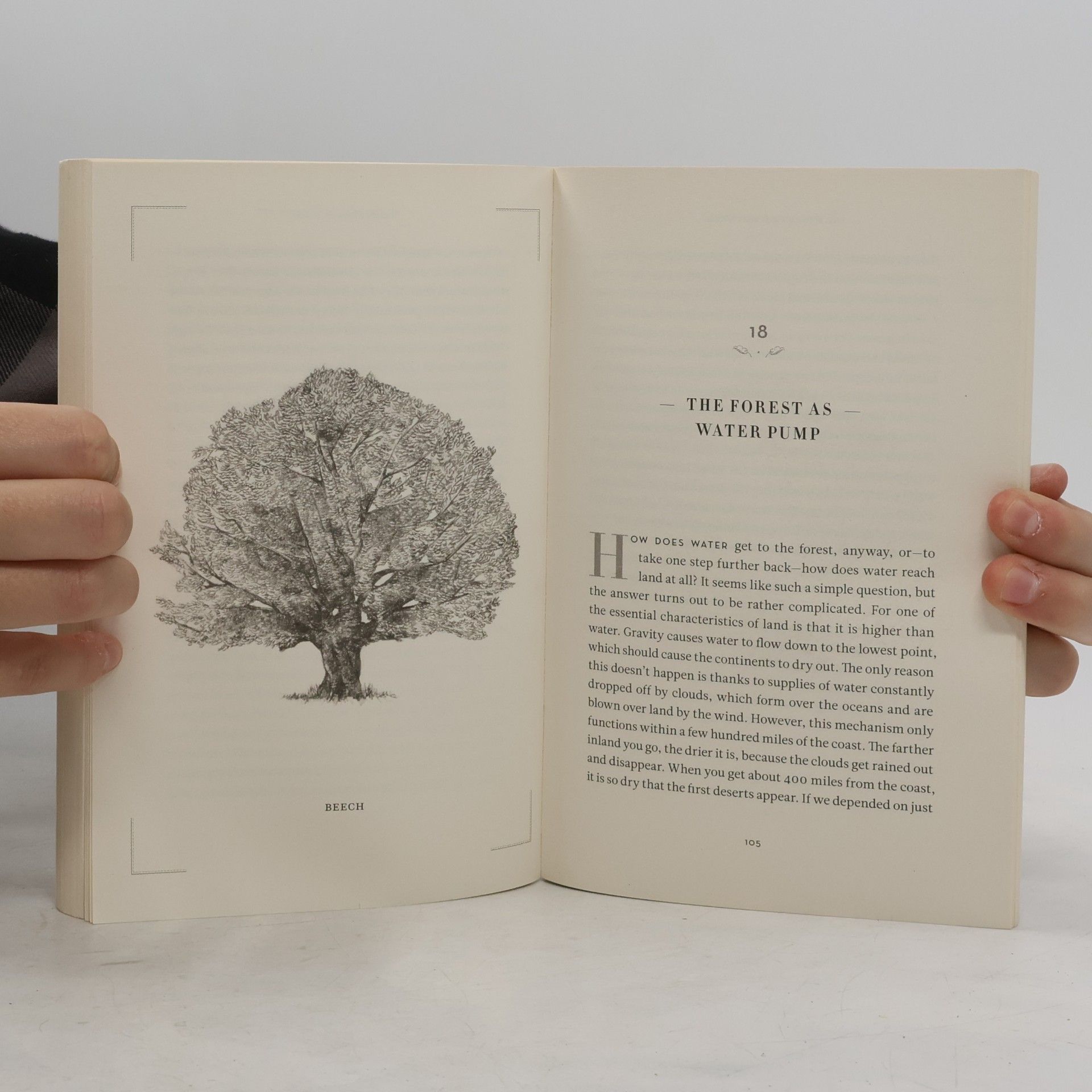 Peter Wohlleben The hidden life of trees
