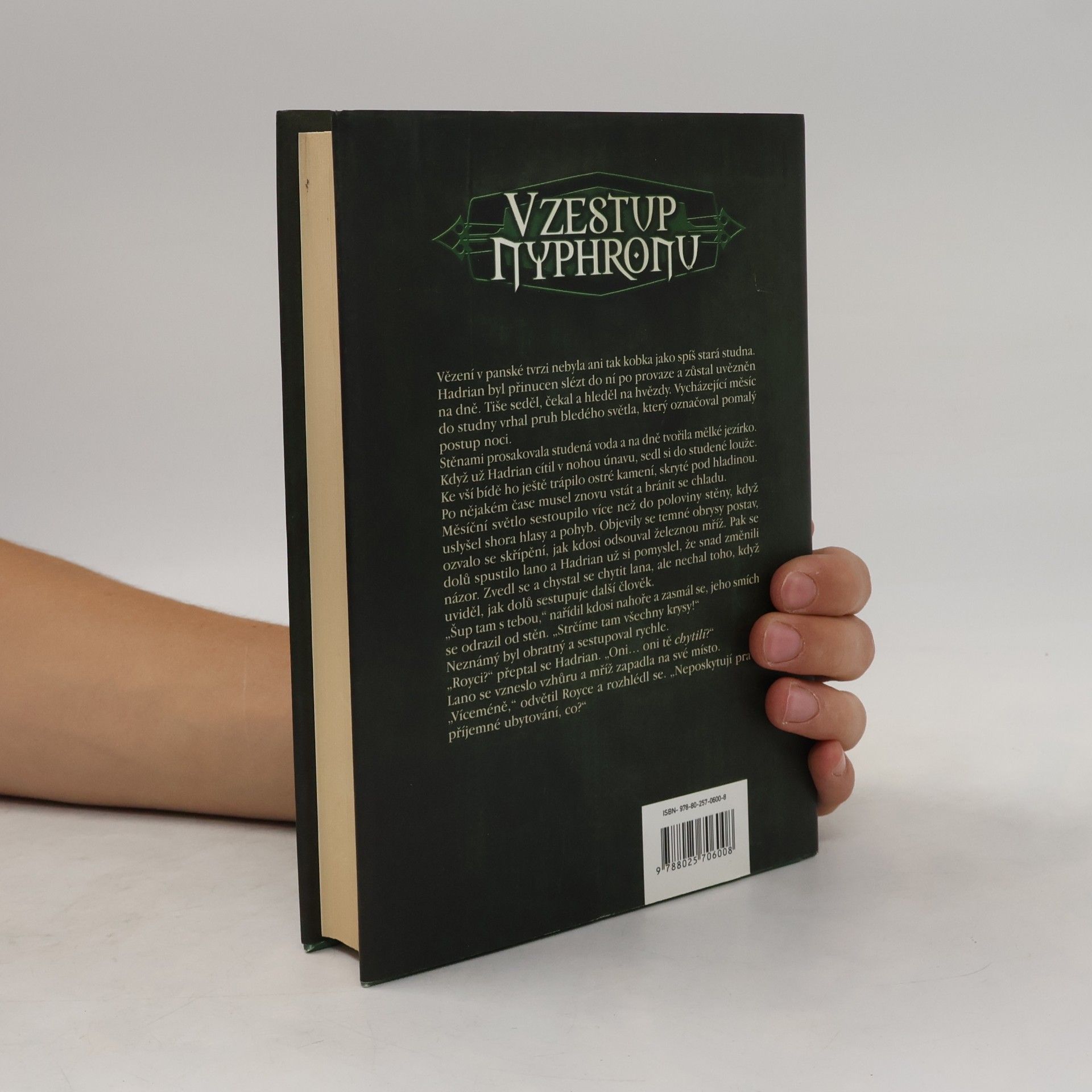 Michael J. Sullivan Vzestup Nyphronu