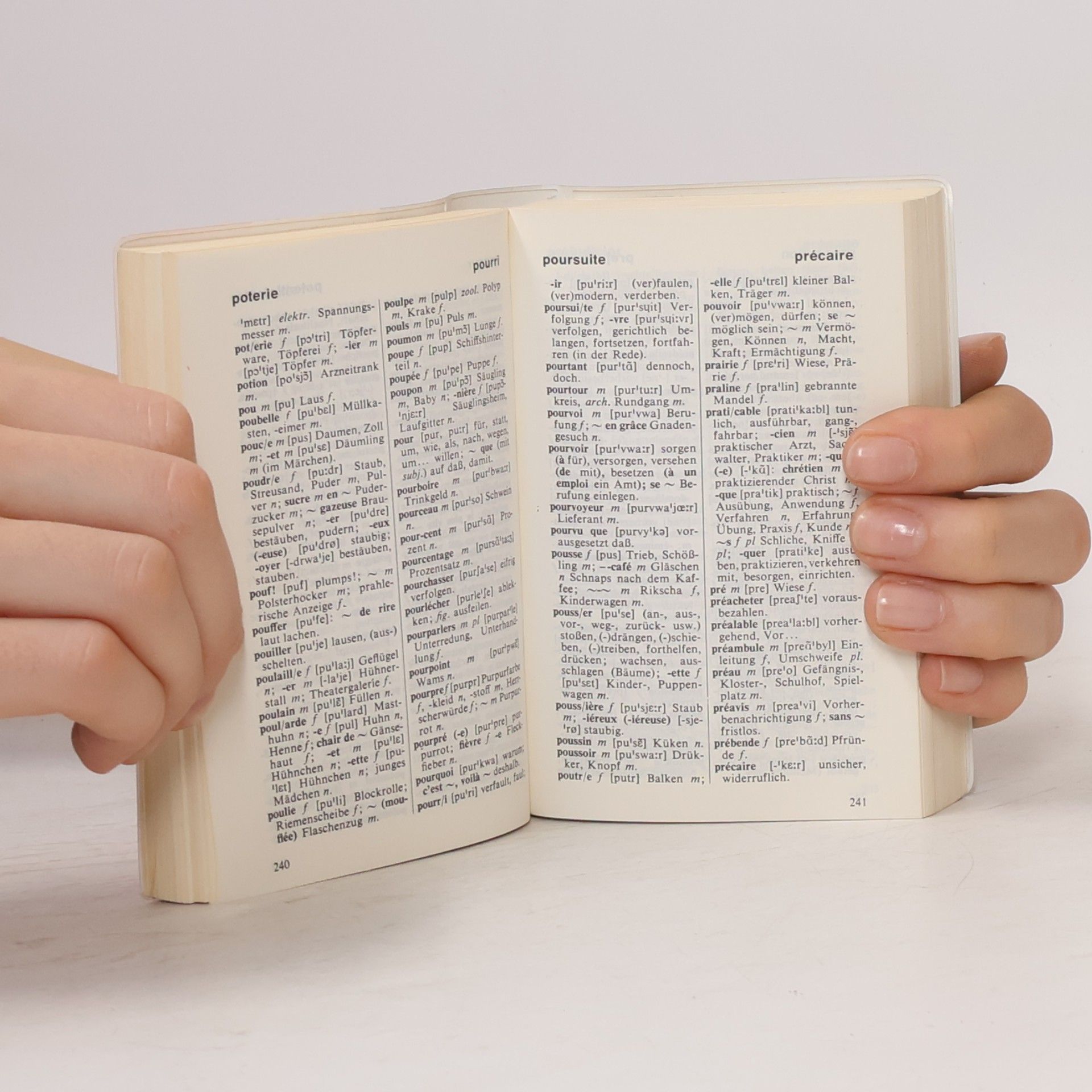 Polyglott-Wörterbuch Französisch