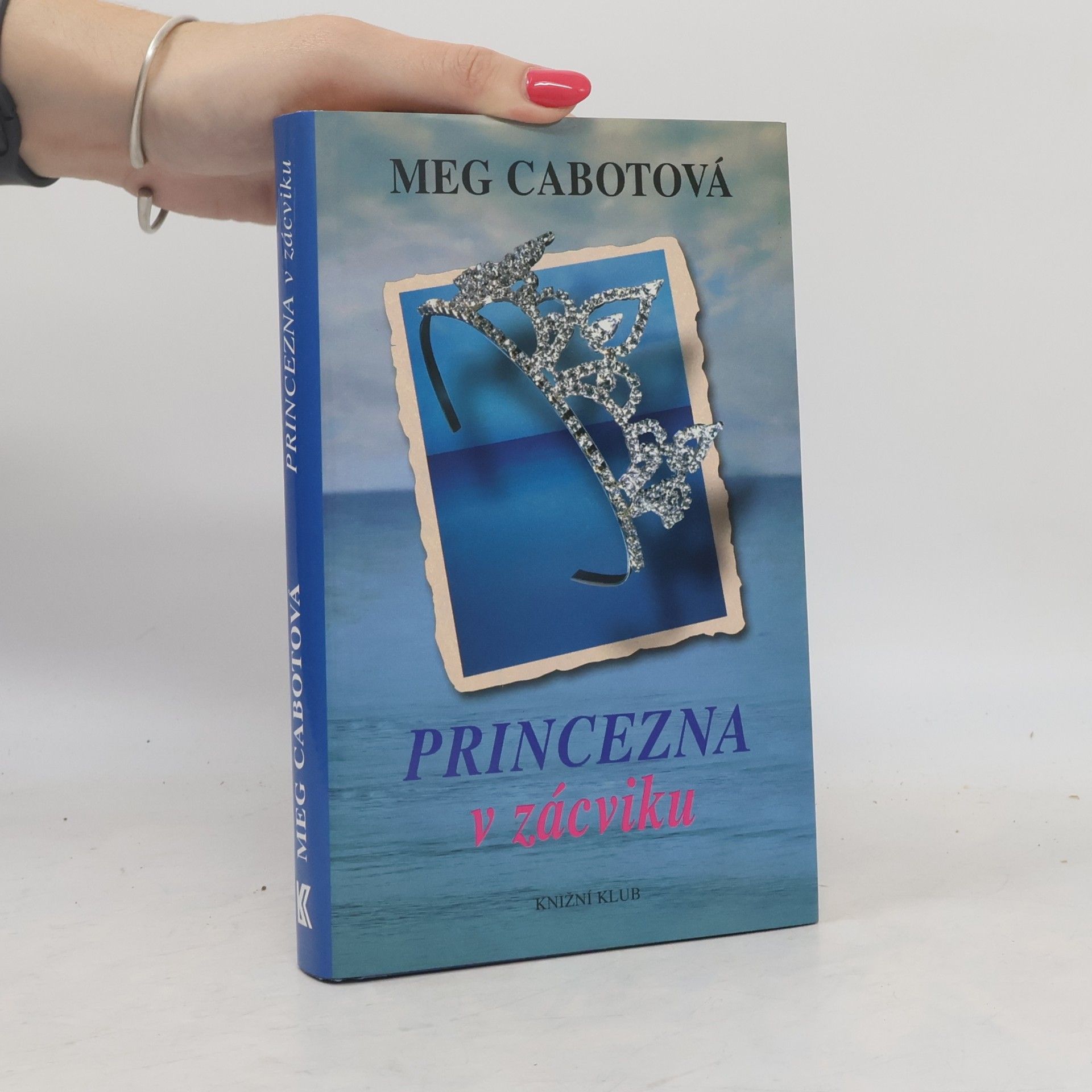 Patricia Cabot Princezna v zácviku