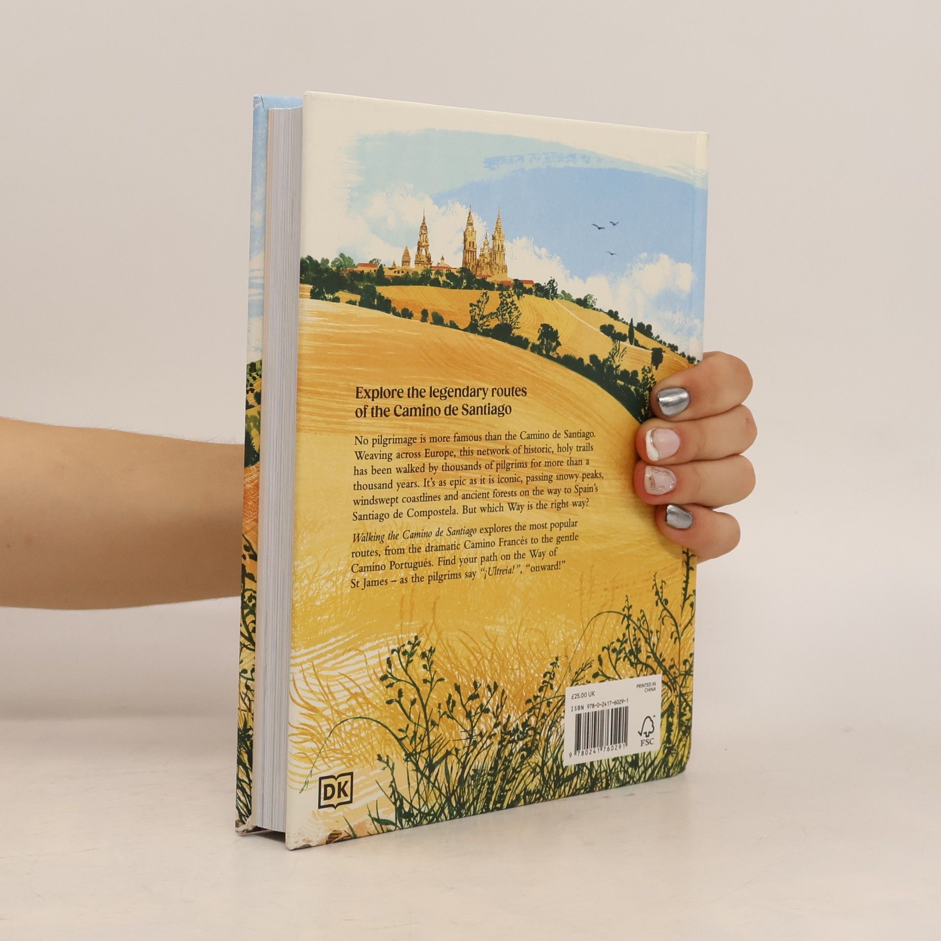 Dk Travel Walking the Camino de Santiago: Find your path on the Way of St James