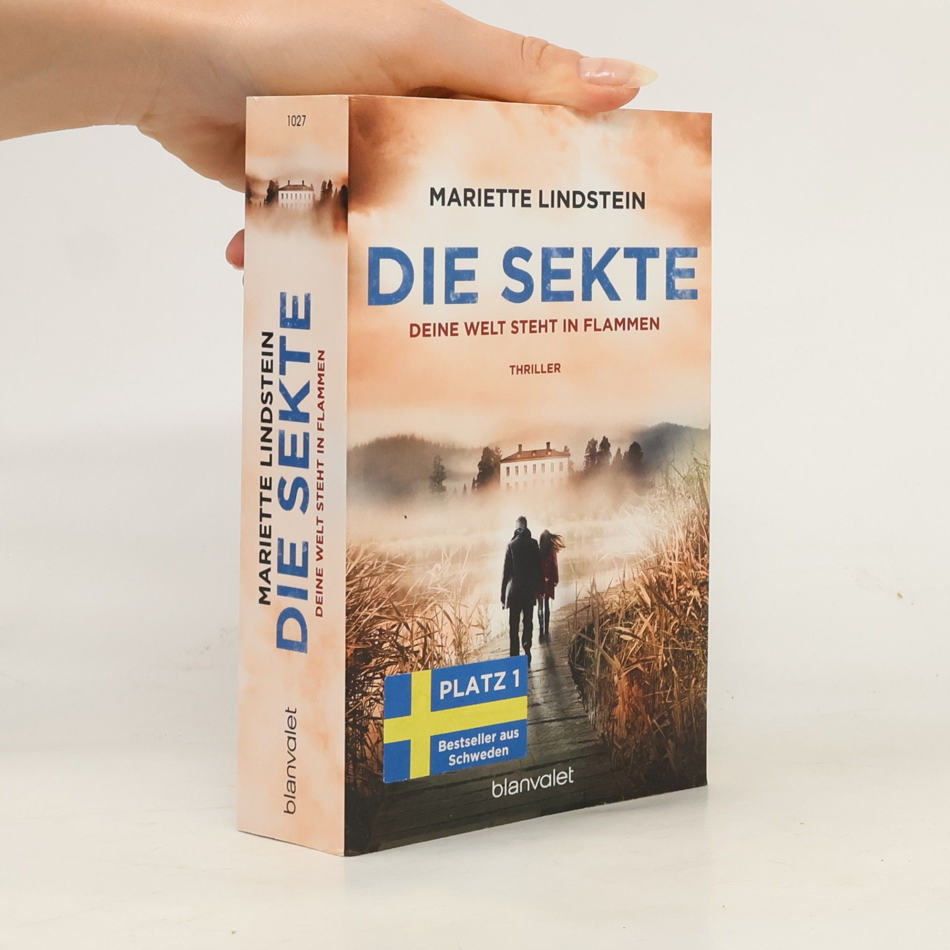 Mariette Lindstein Die Sekte: Deine Welt steht in Flammen