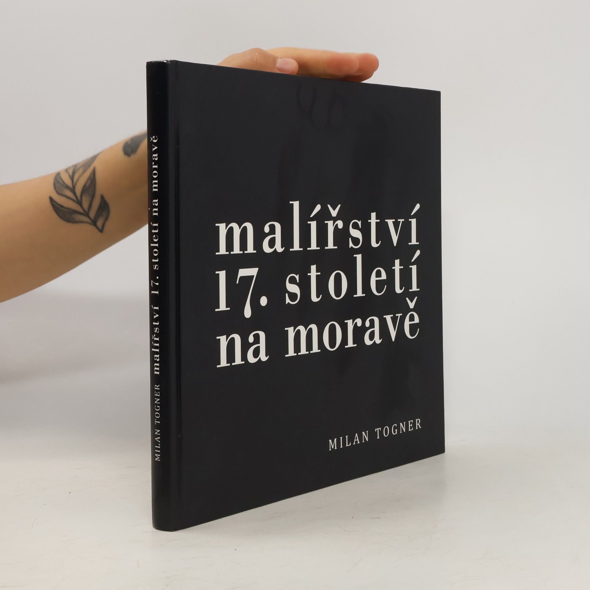 Milan Togner Malířství 17. století na Moravě