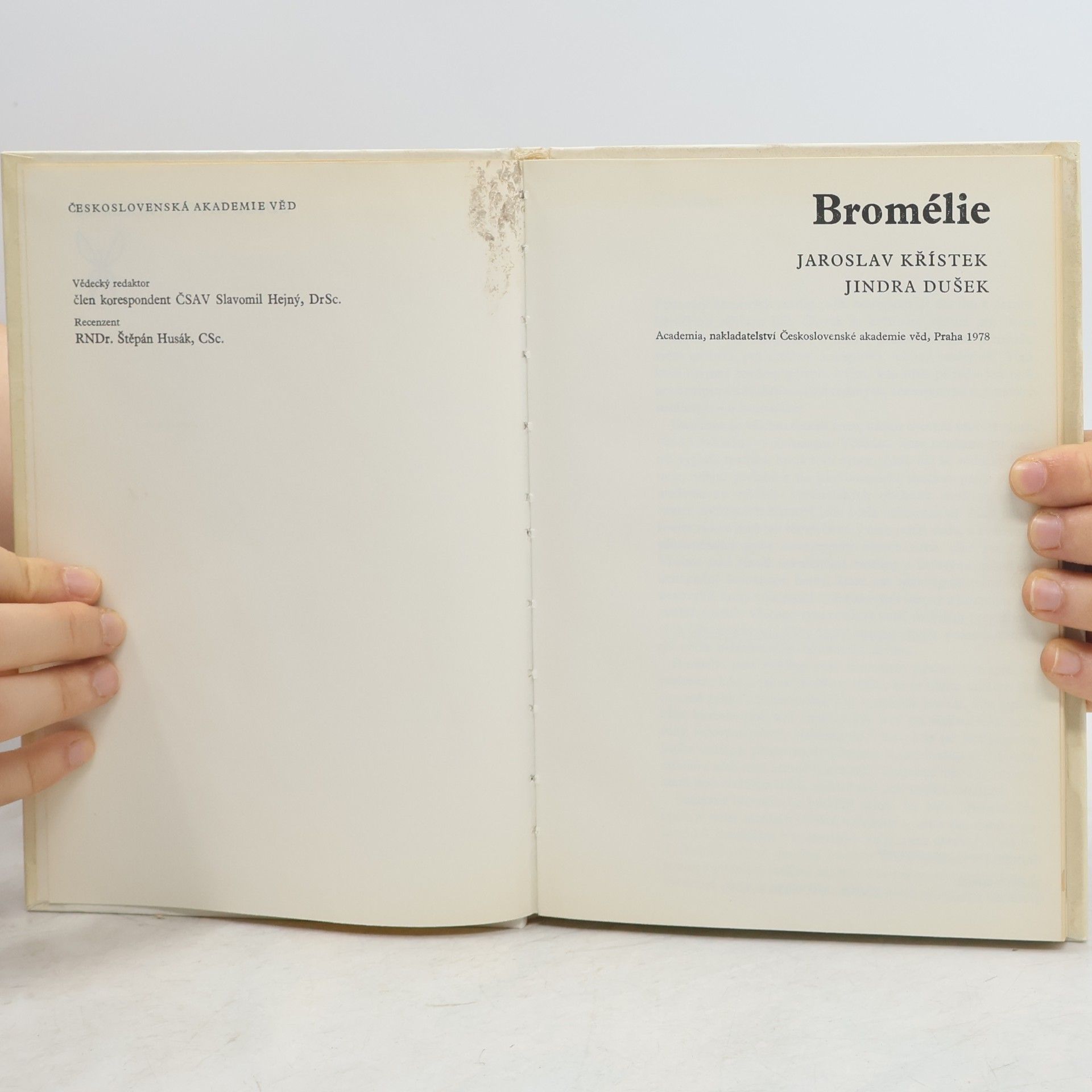 Jaroslav Křístek Bromélie