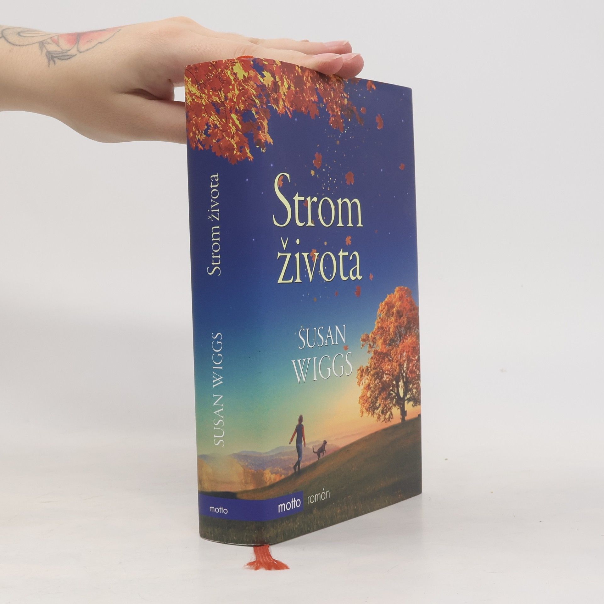 Susan Wiggs Strom života