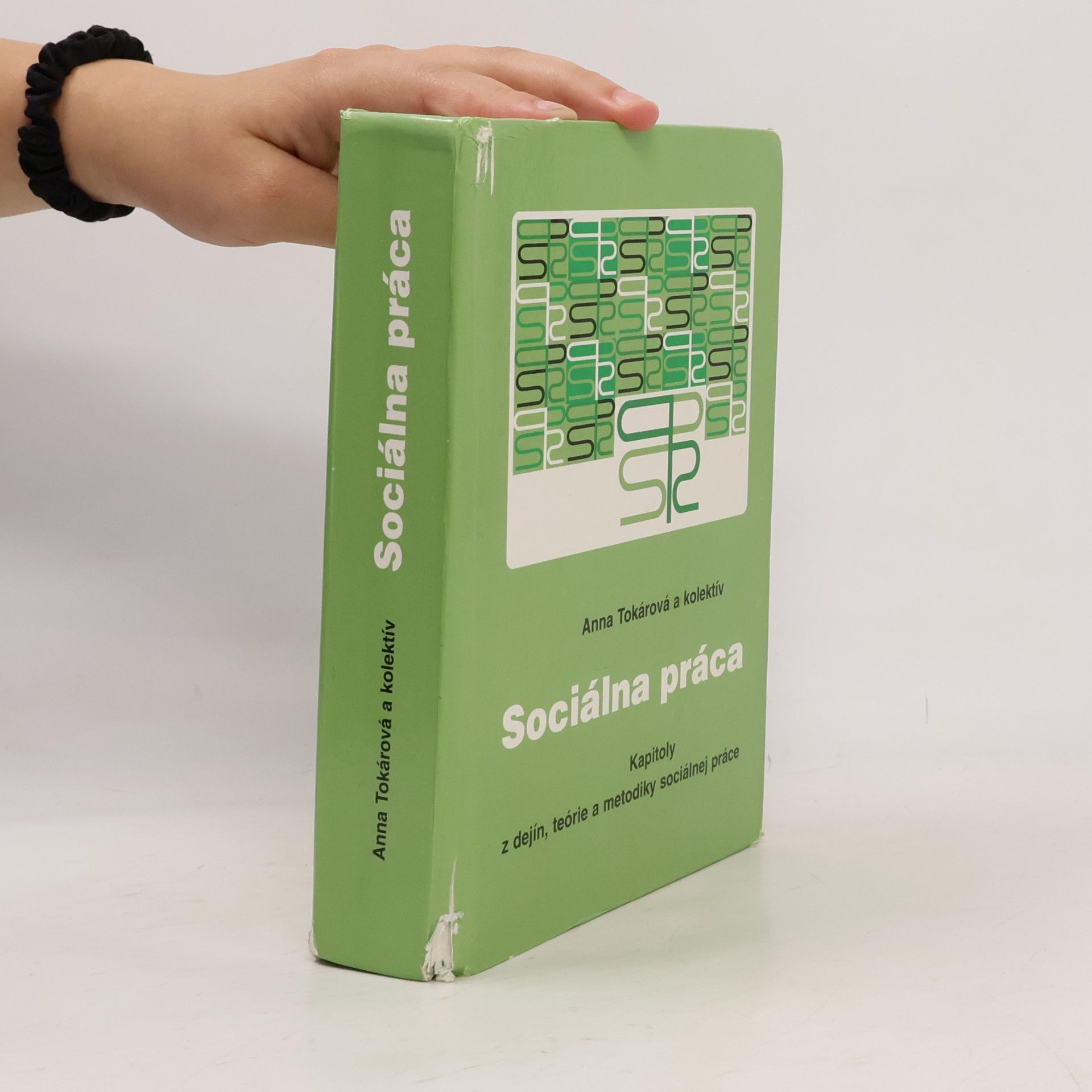 Anna Tokárová Sociálna práca